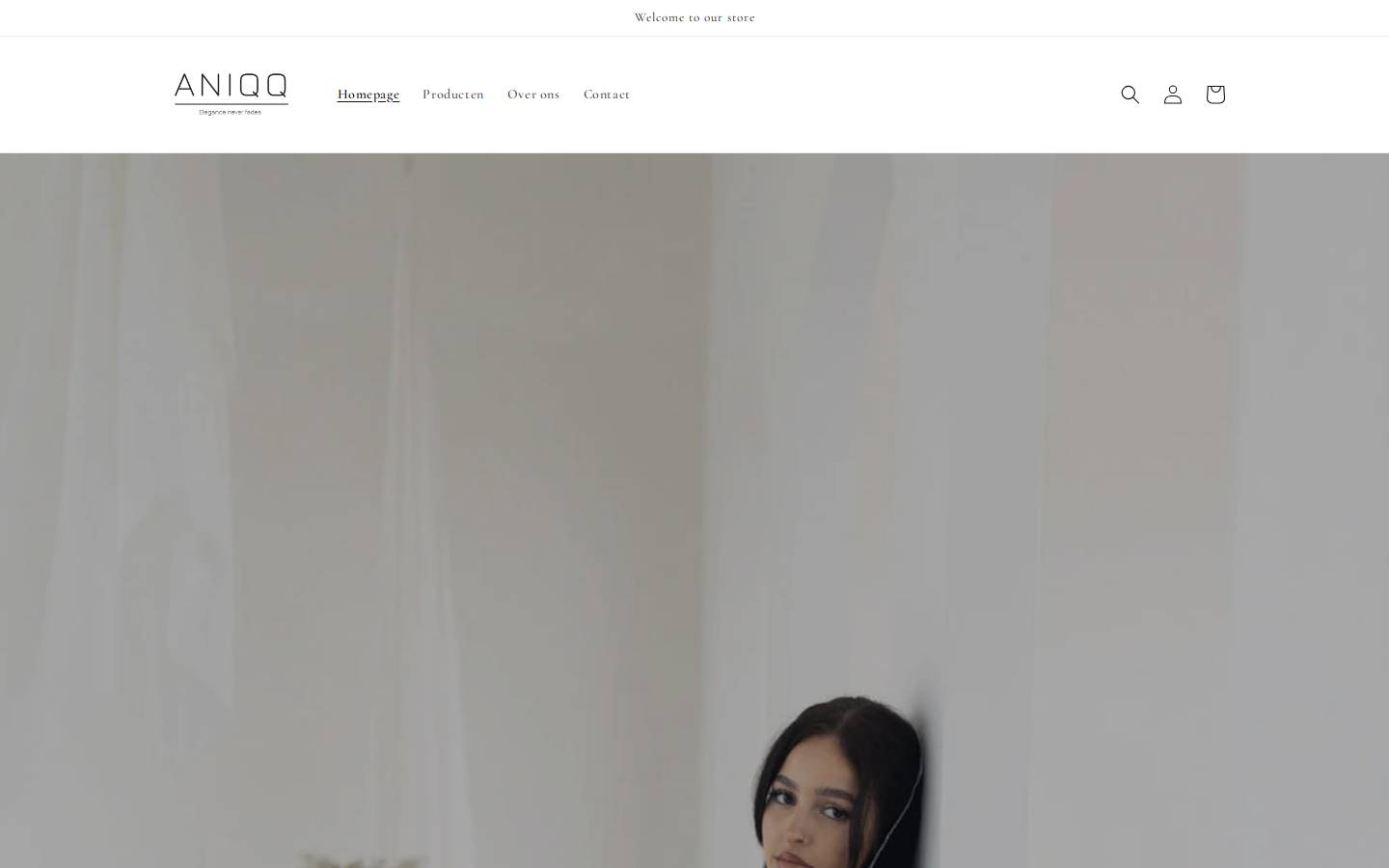 aniqq.nl homepage screenshot