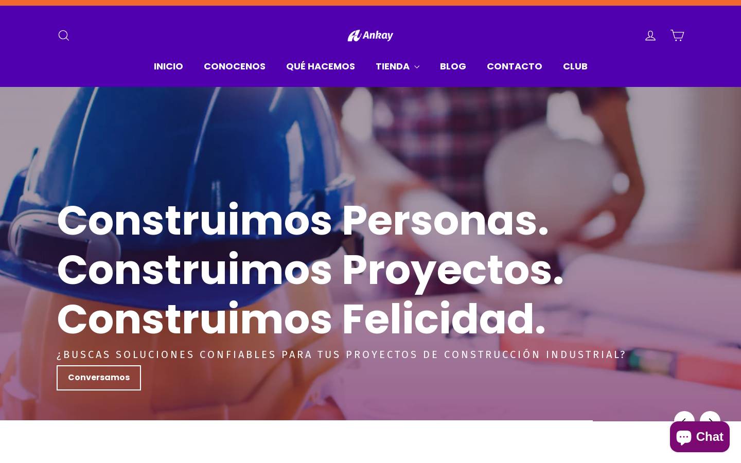 ankayconsultores.com homepage screenshot