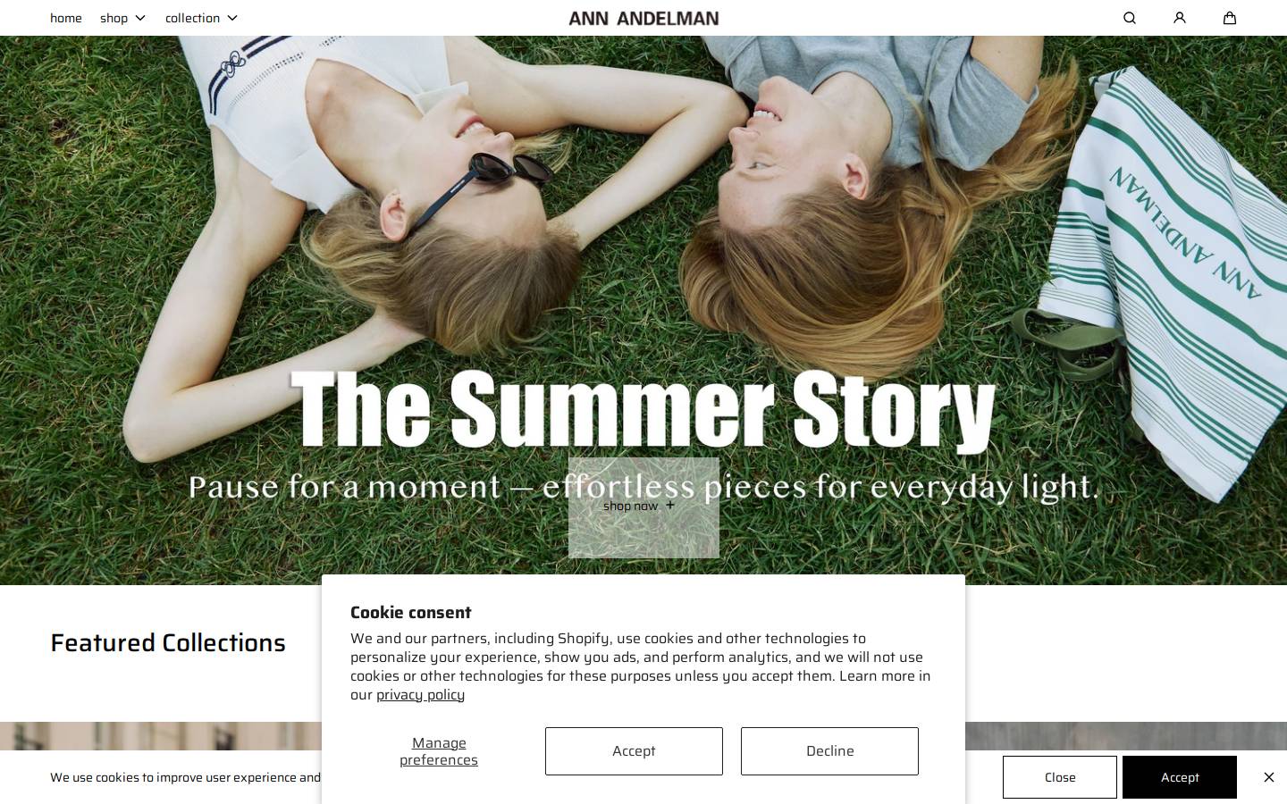 ann-andelman.com homepage screenshot