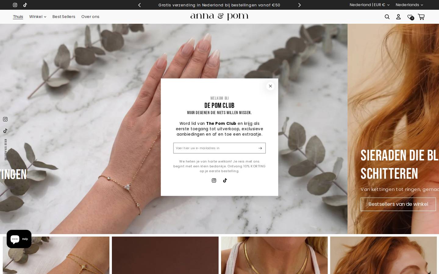 annaandpom.com homepage screenshot