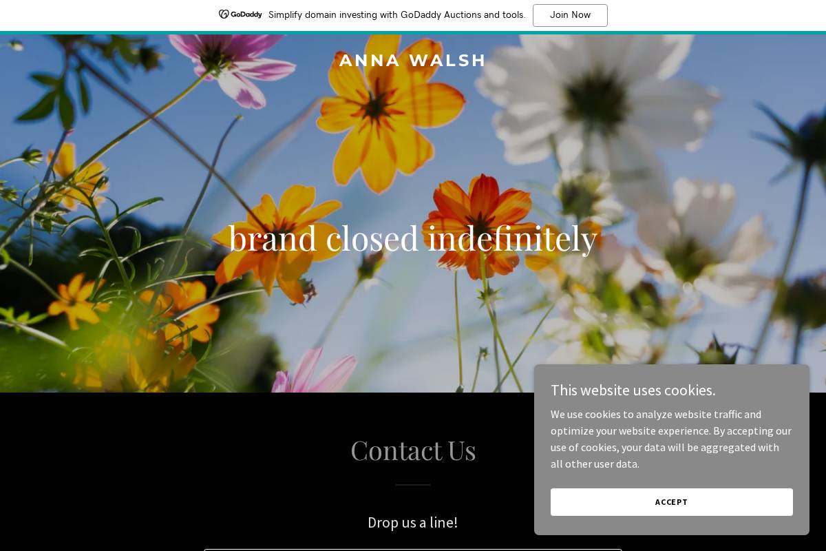 annawalsh.net homepage screenshot