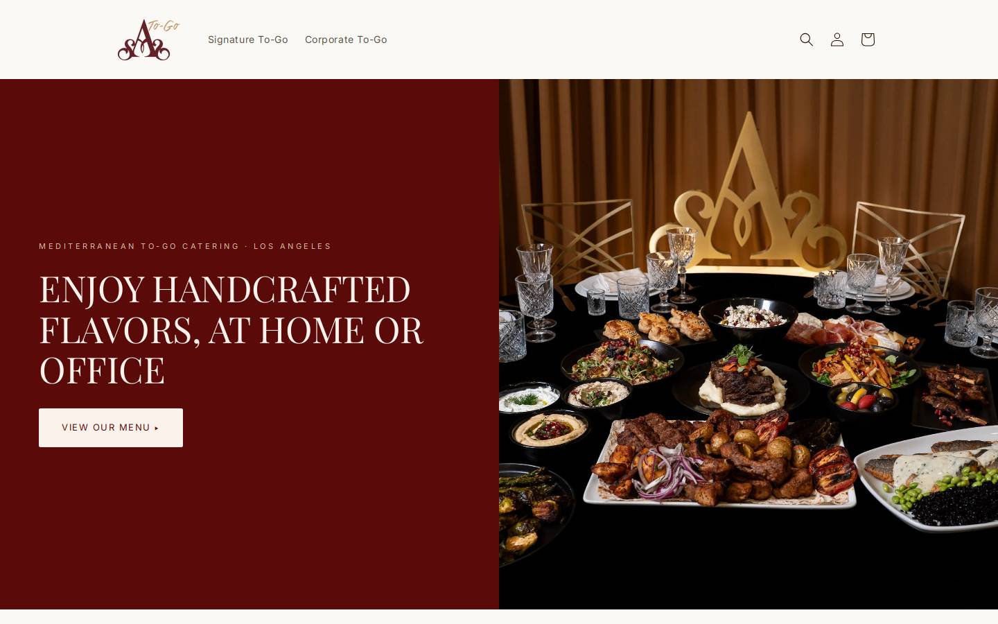 anoushtogo.com homepage screenshot