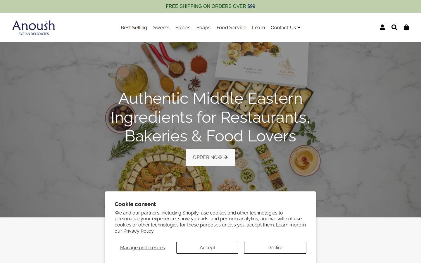 anoushusa.com homepage screenshot