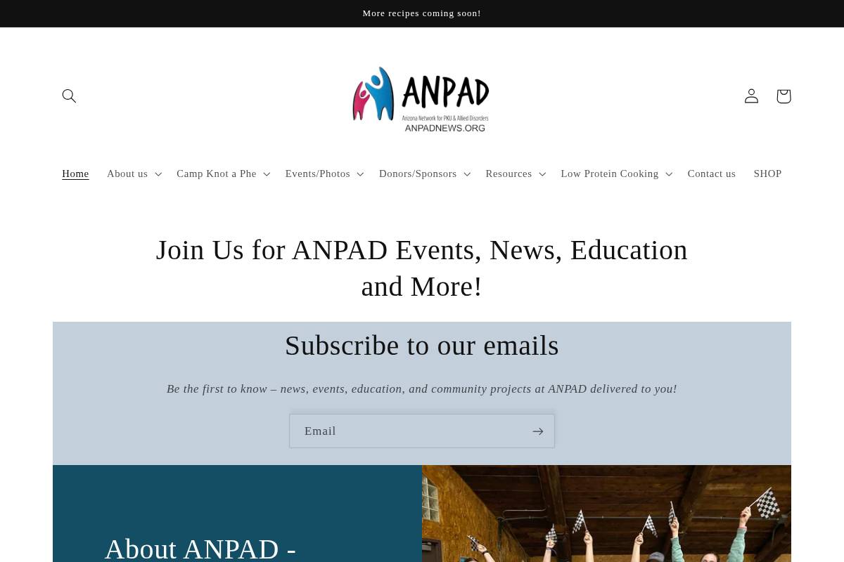 ANPAD News homepage screenshot