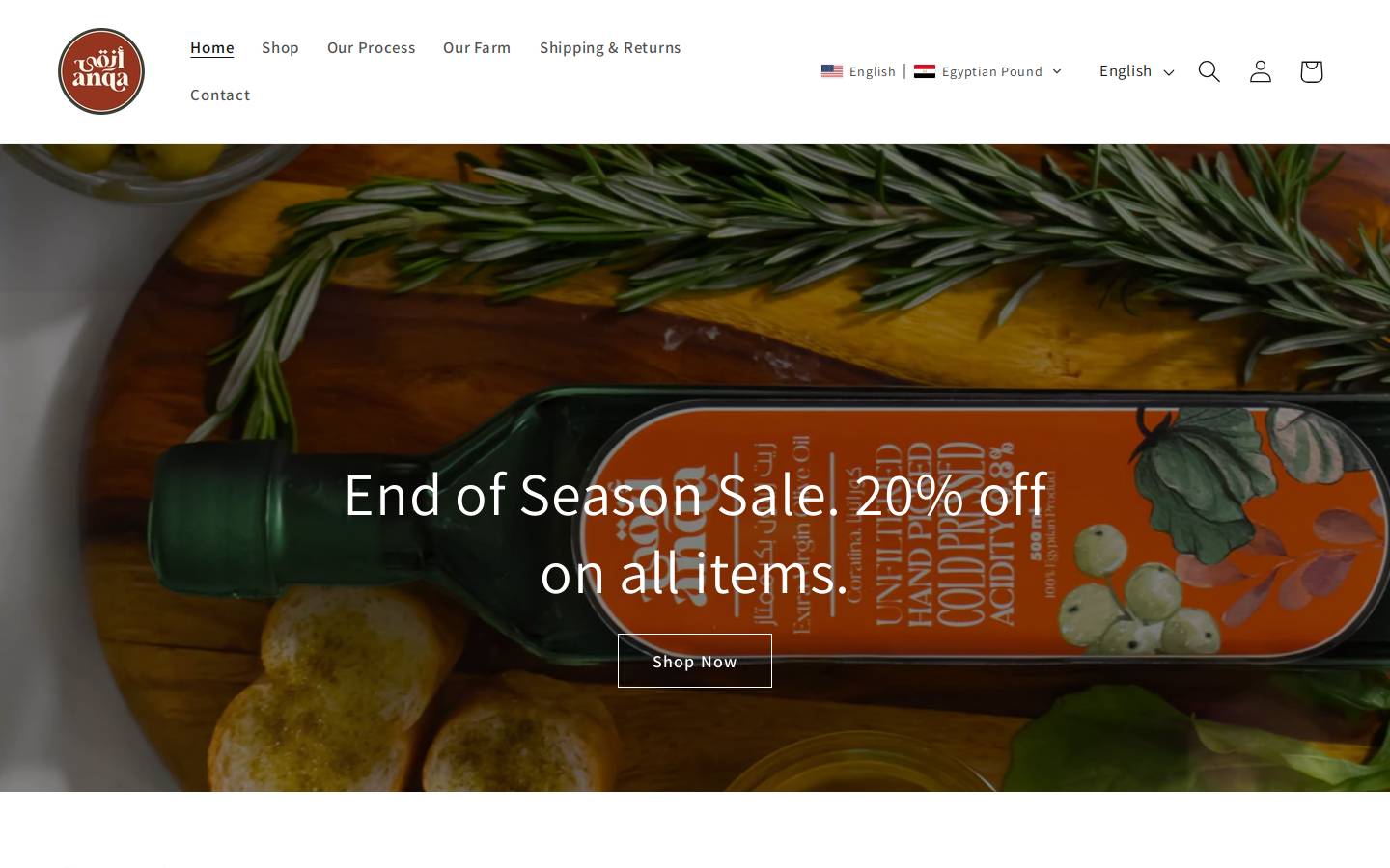 anqashop.com homepage screenshot