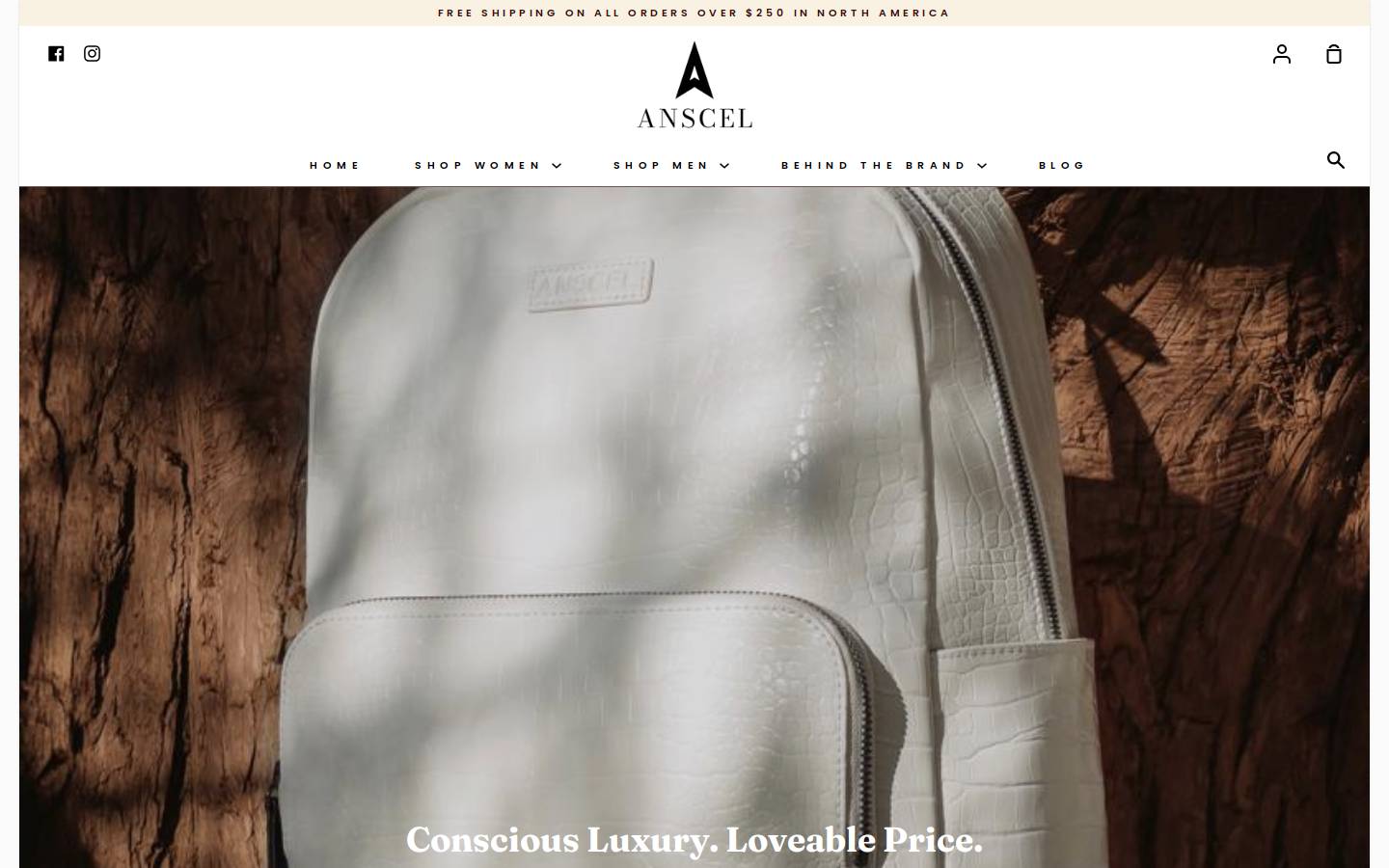 anscel.com homepage screenshot