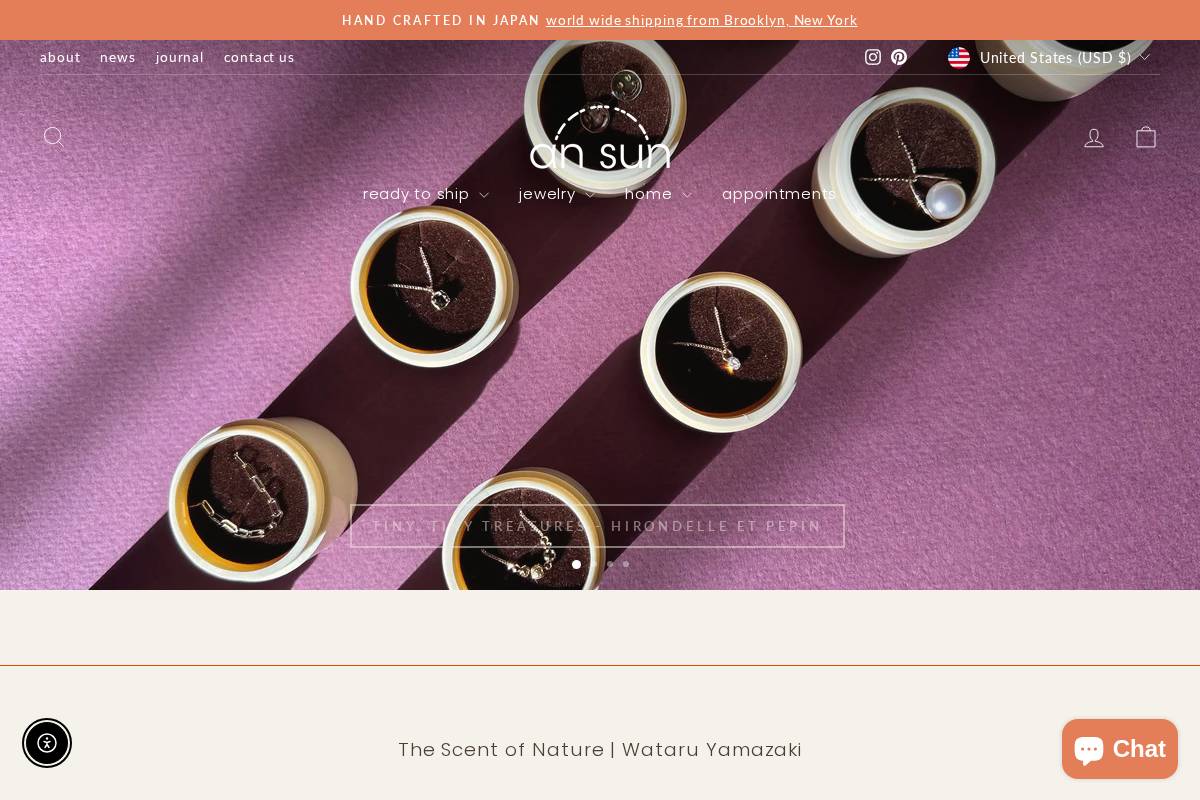 ansunnyc.com homepage screenshot