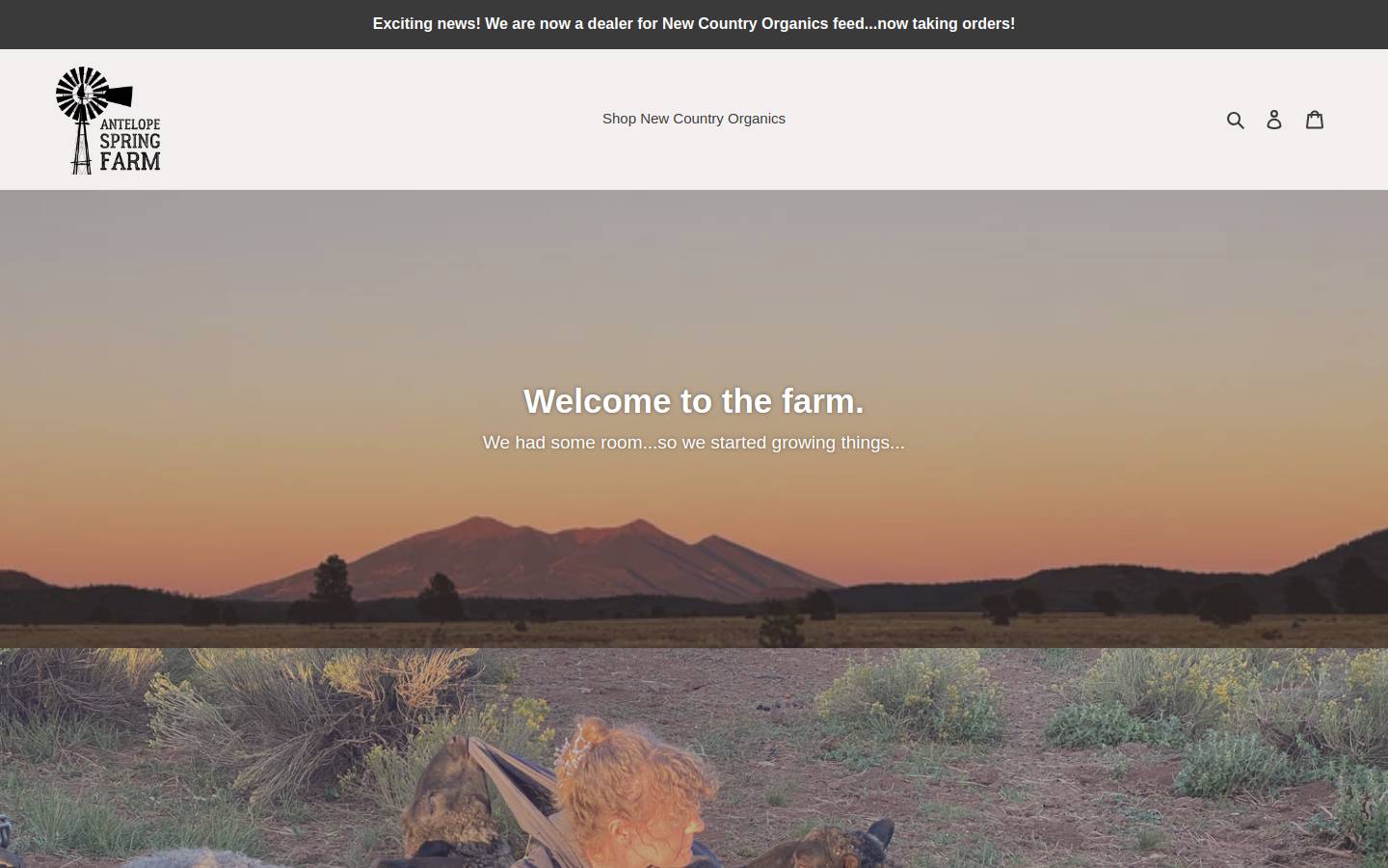 antelopespring.com homepage screenshot