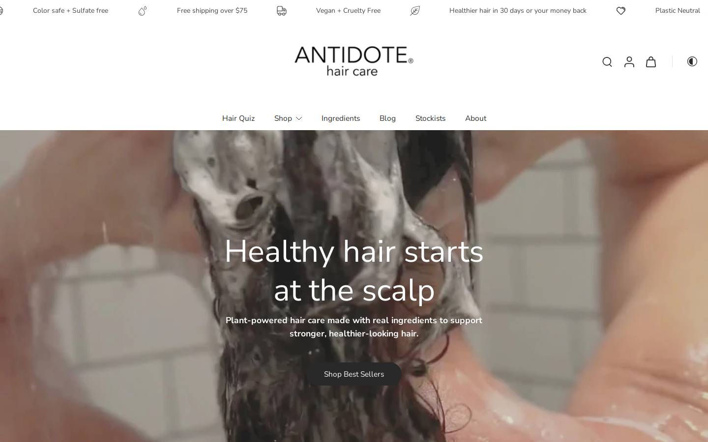antidote1848.com homepage screenshot