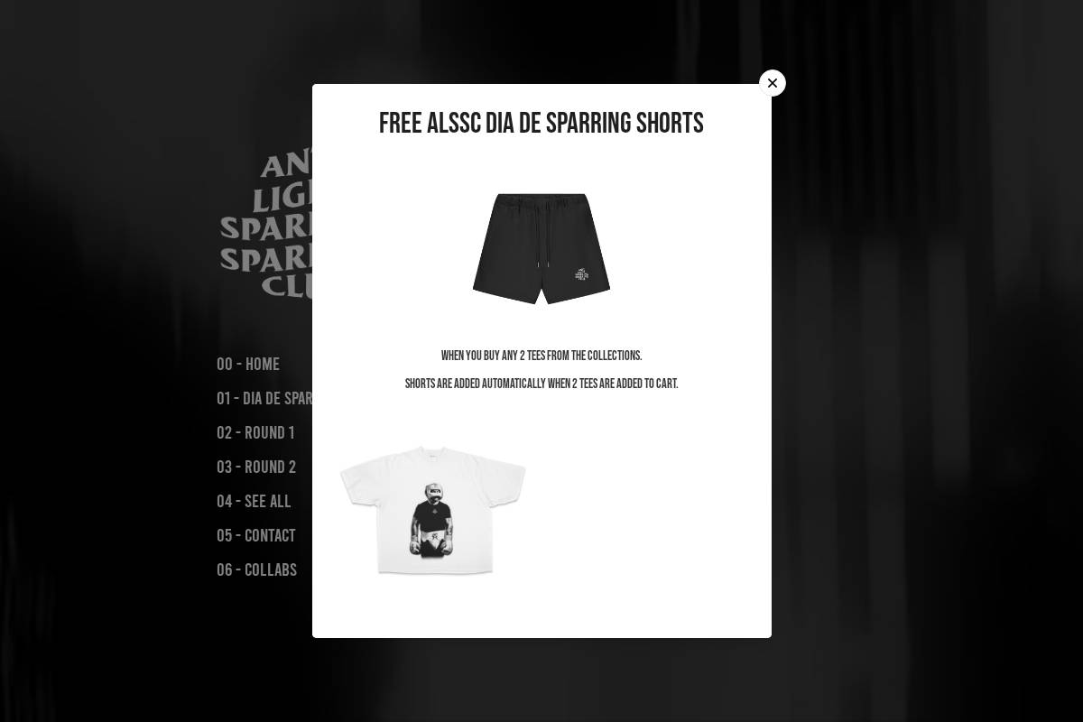 antilightsparringsc.com homepage screenshot