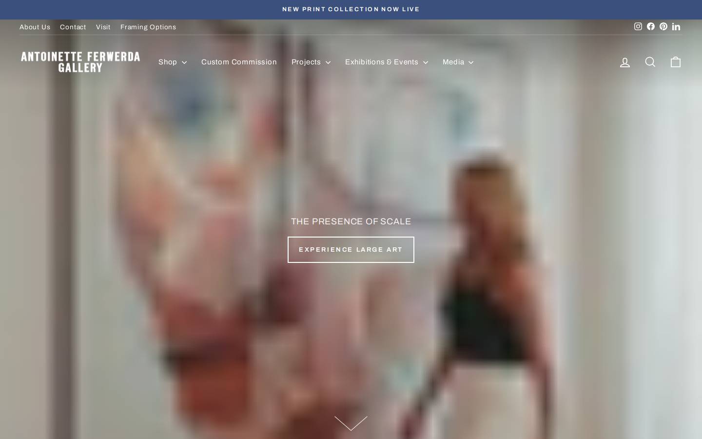 antoinetteferwerda.com.au homepage screenshot