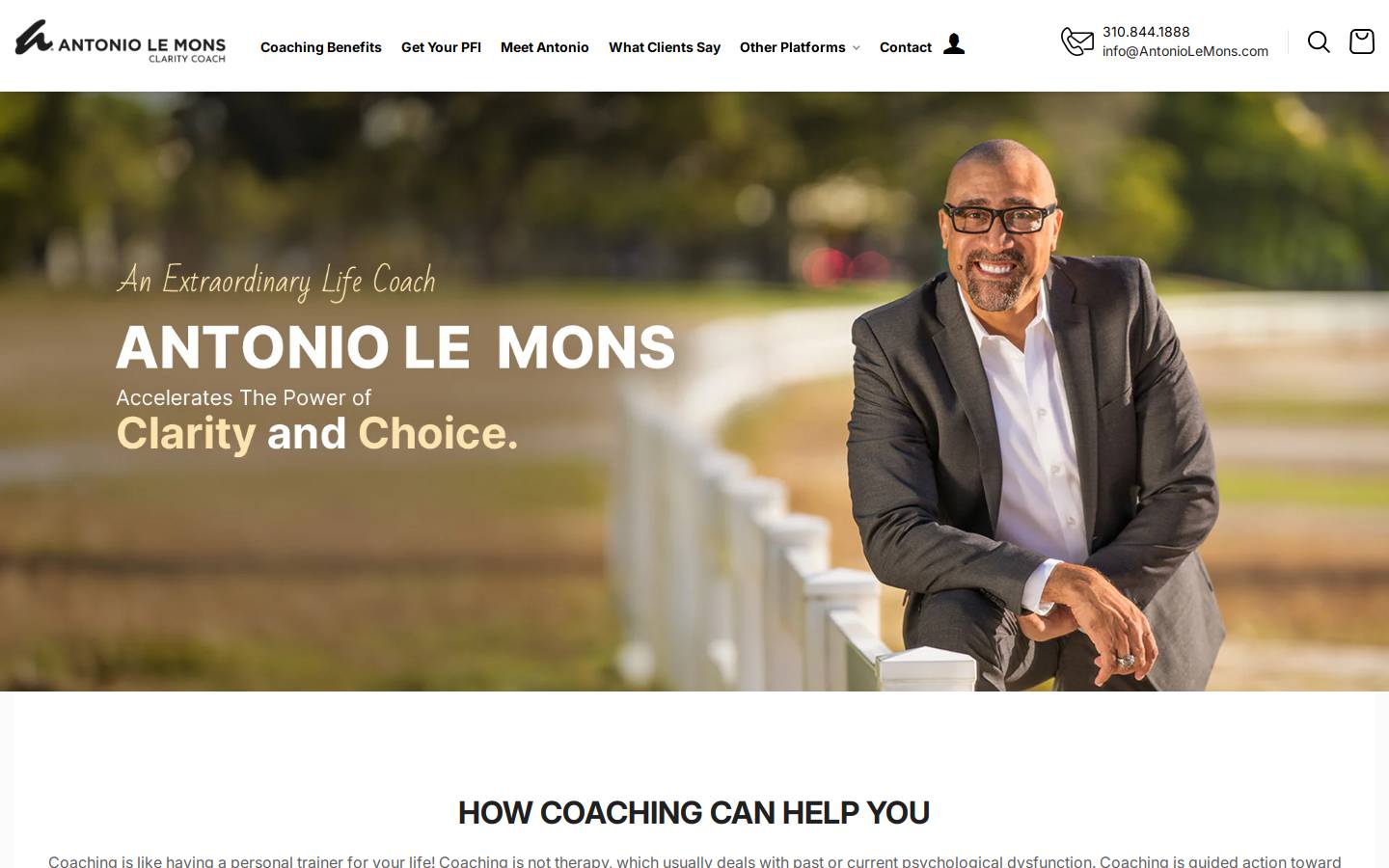 antoniolemons.com homepage screenshot