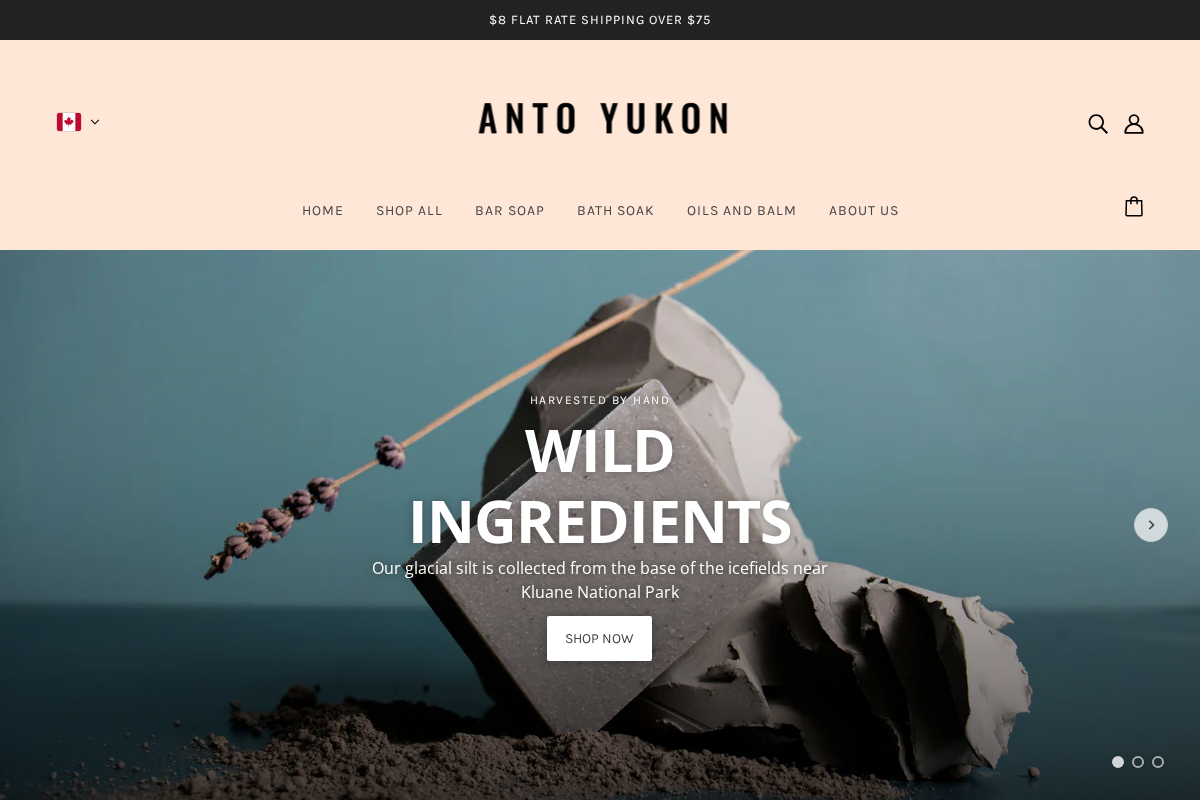 antoyukon.com homepage screenshot