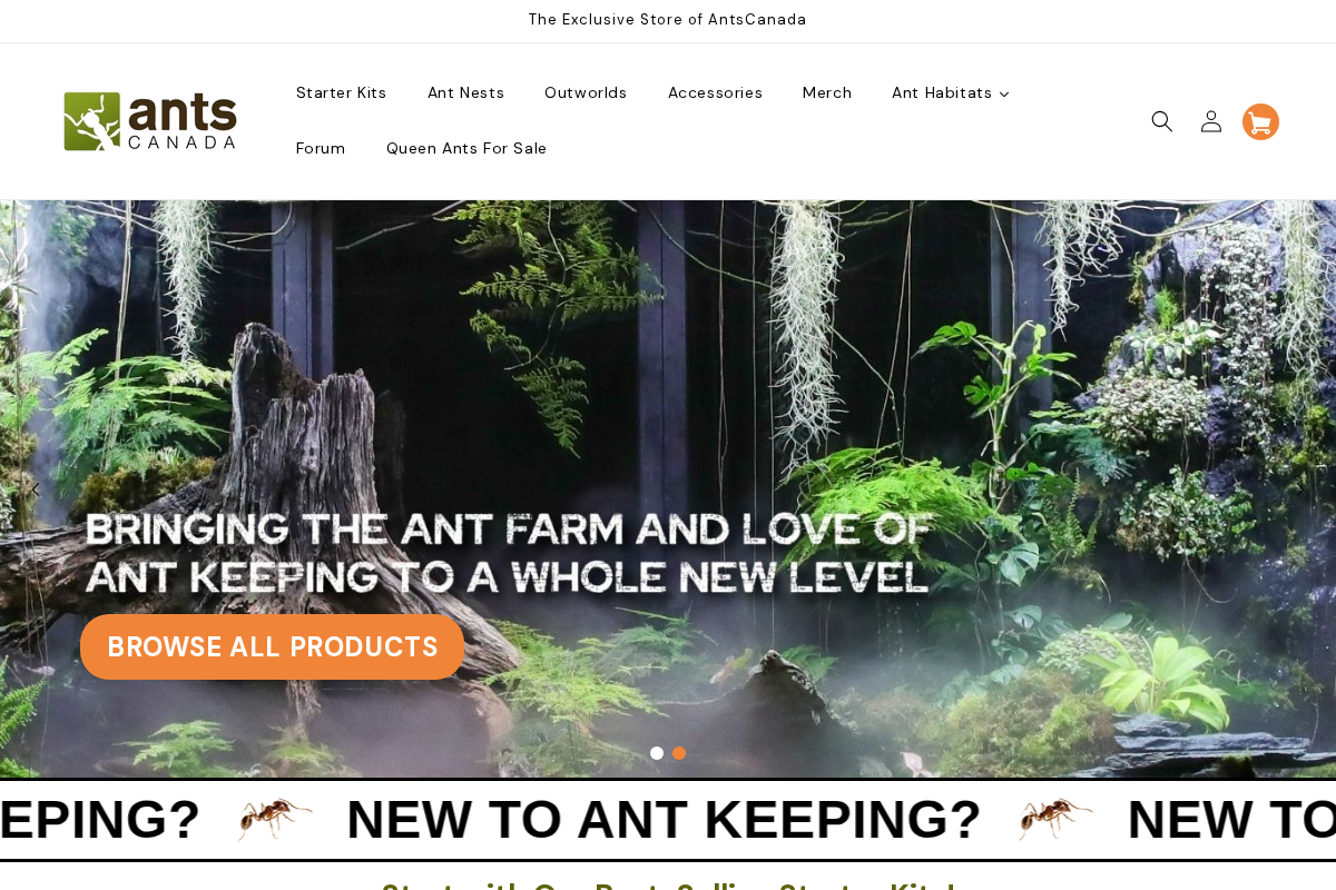 AntsCanada homepage screenshot