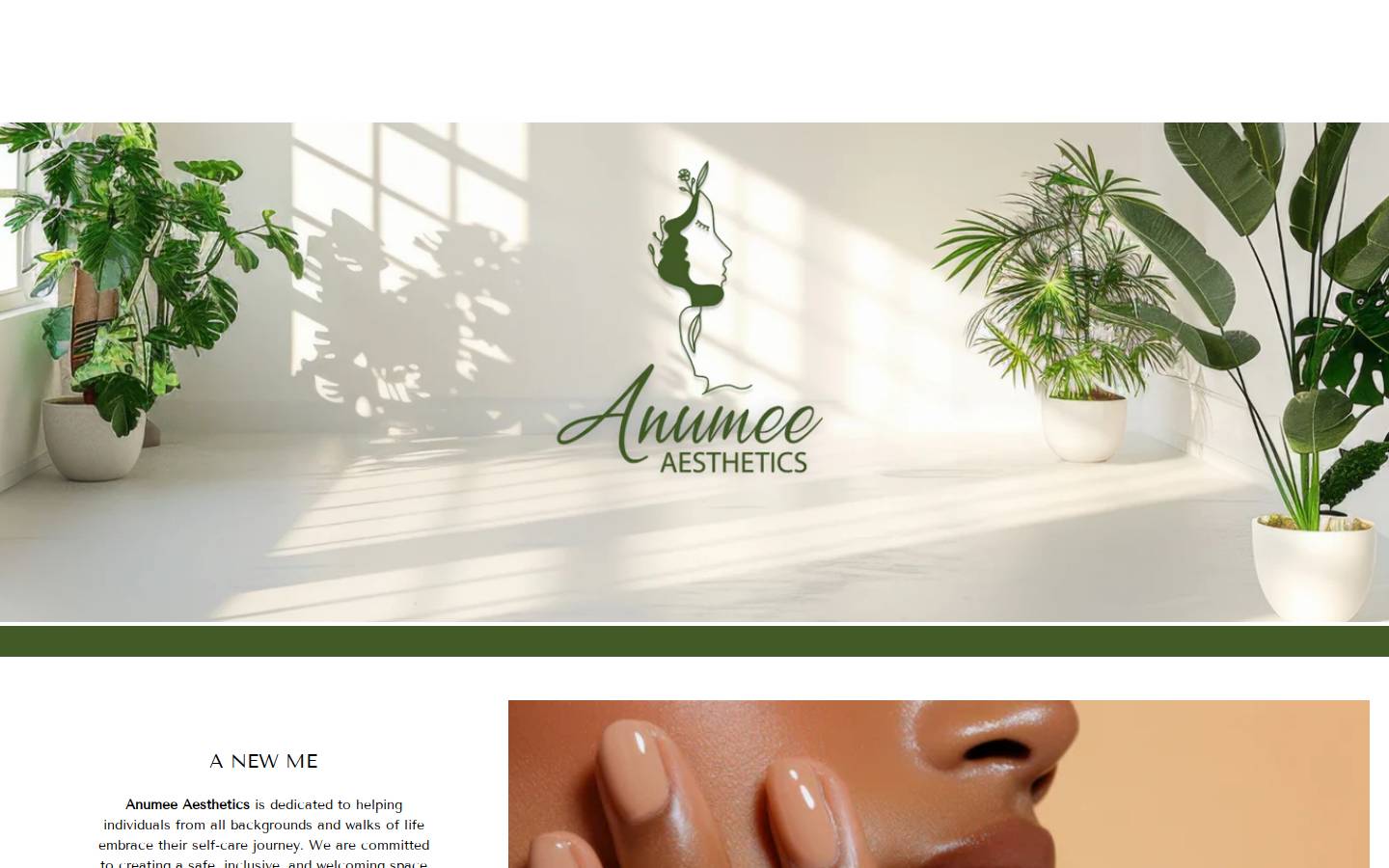anumeeaesthetics.com homepage screenshot