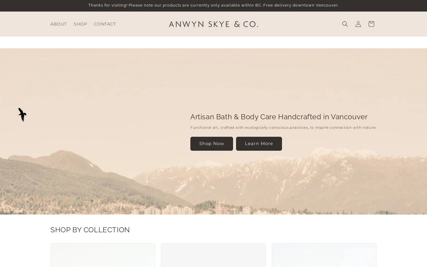anwynskyeco.com homepage screenshot