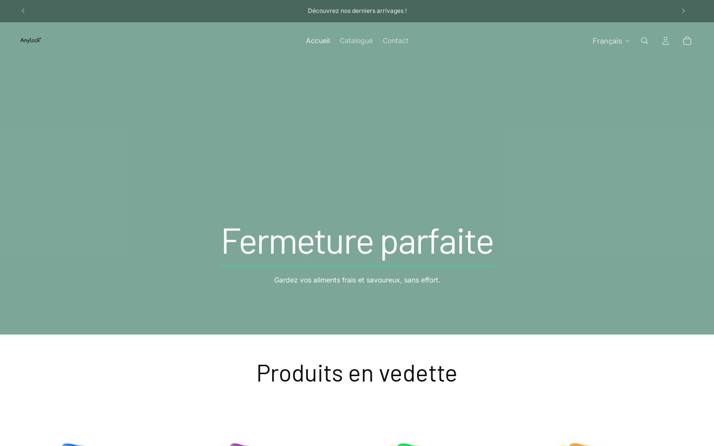 anylock.ch homepage screenshot