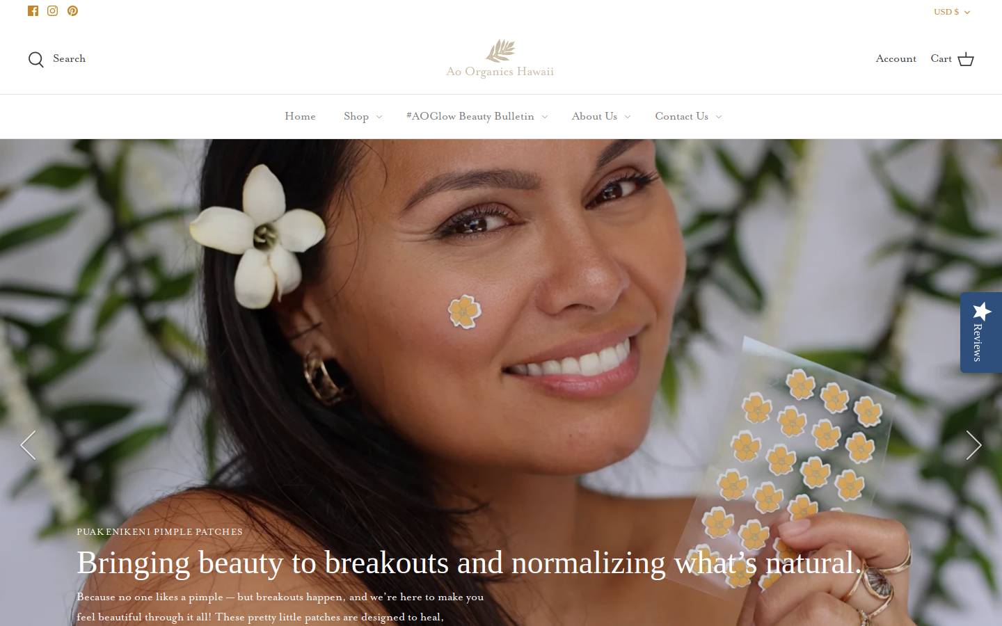 aoorganicshawaii.com homepage screenshot