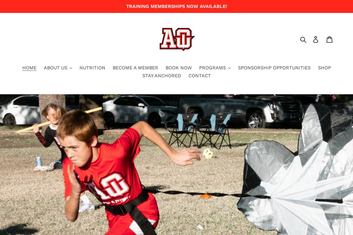aosportsandfitness.com homepage screenshot