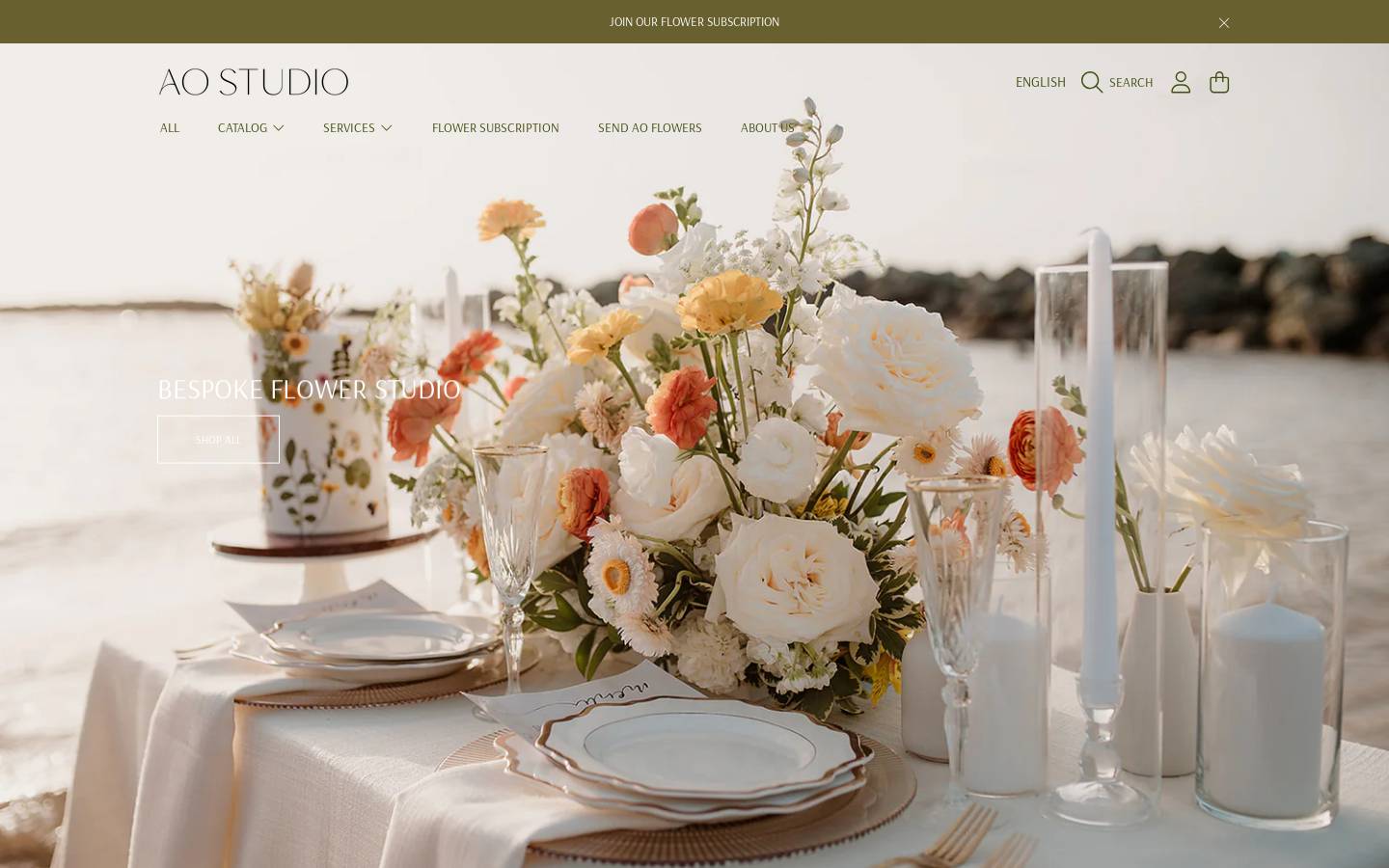 aostudiopr.com homepage screenshot