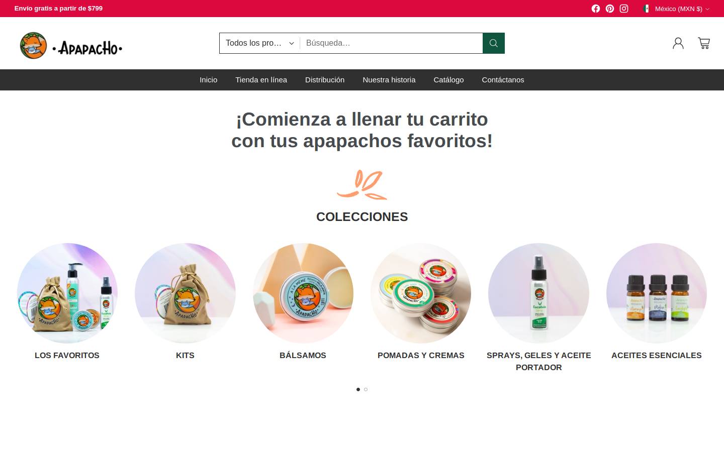 apapachobalsamos.com homepage screenshot
