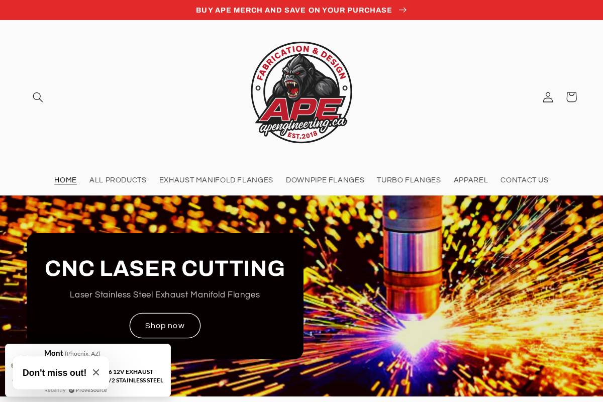 apengineering.ca homepage screenshot