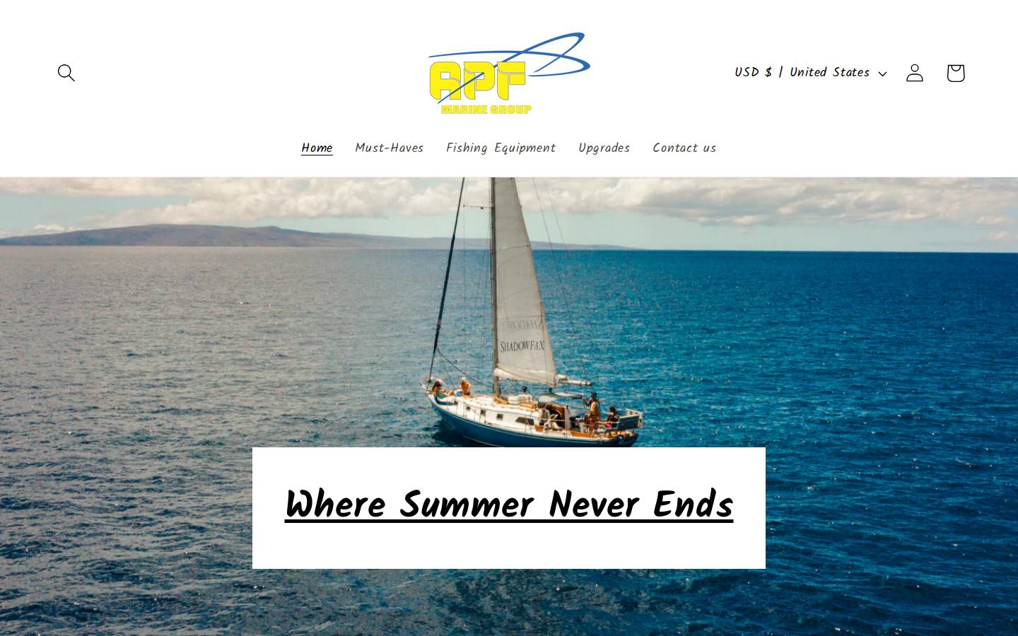 apfmarinegroup.com homepage screenshot