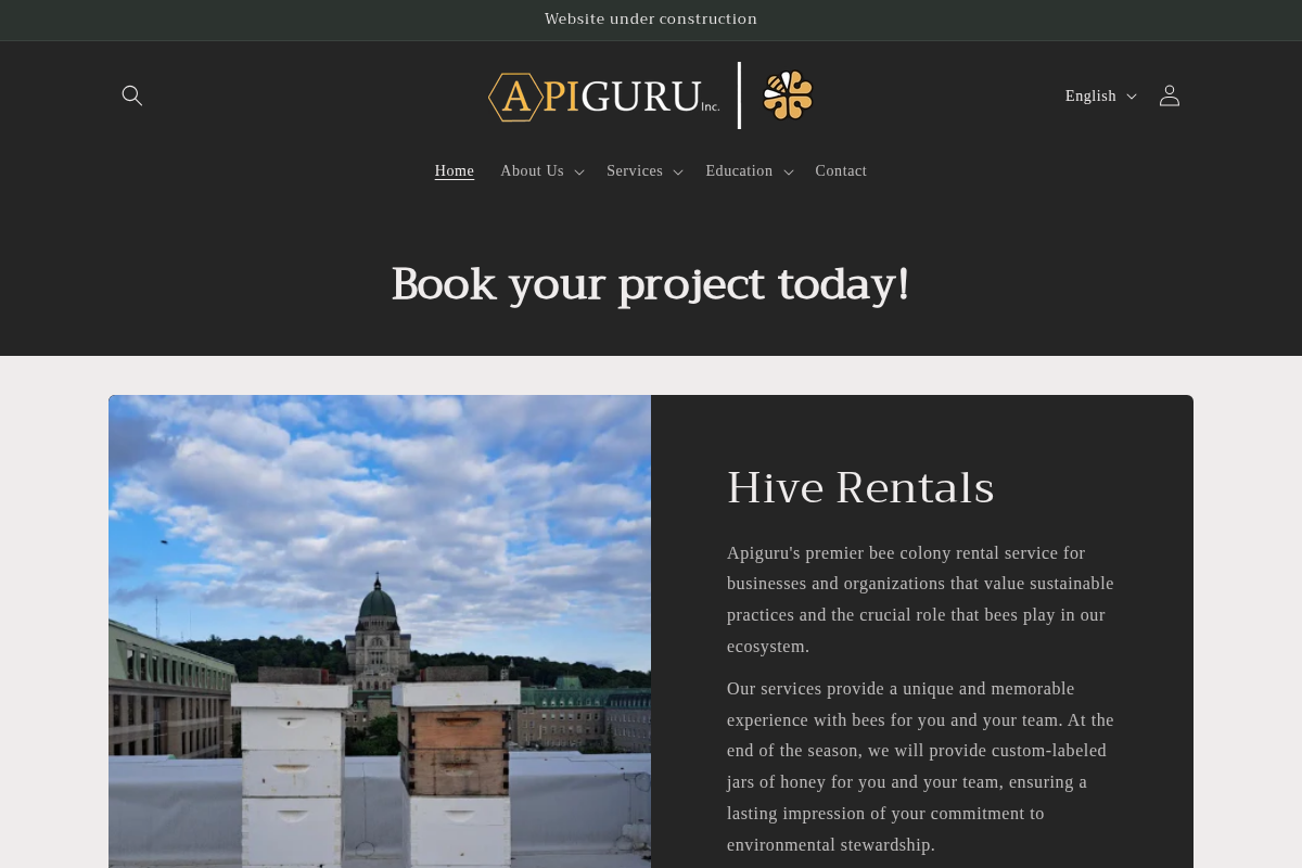 apiguru.ca homepage screenshot