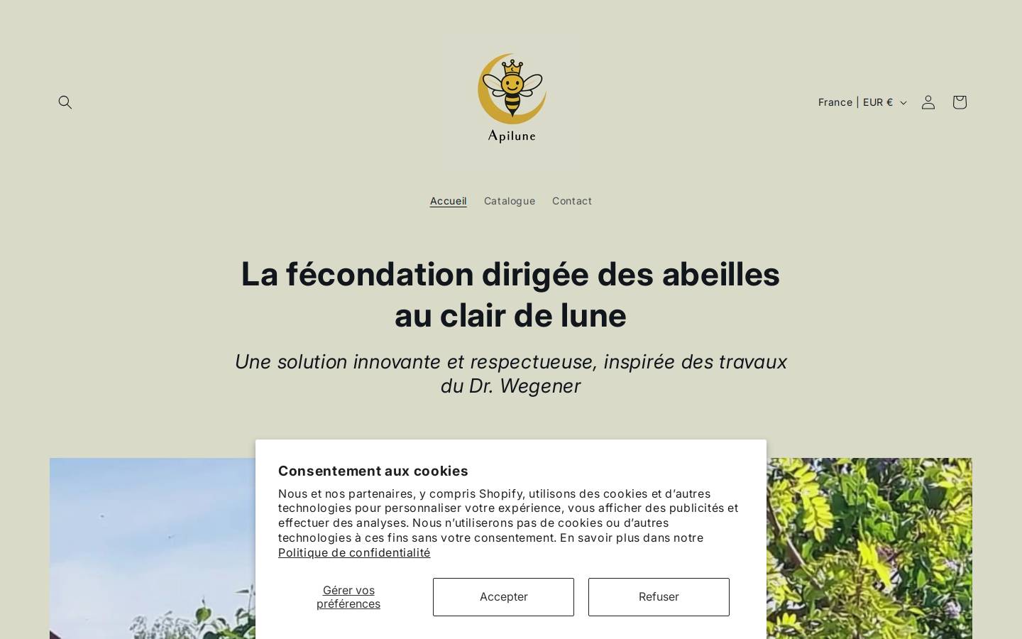apilune.com homepage screenshot