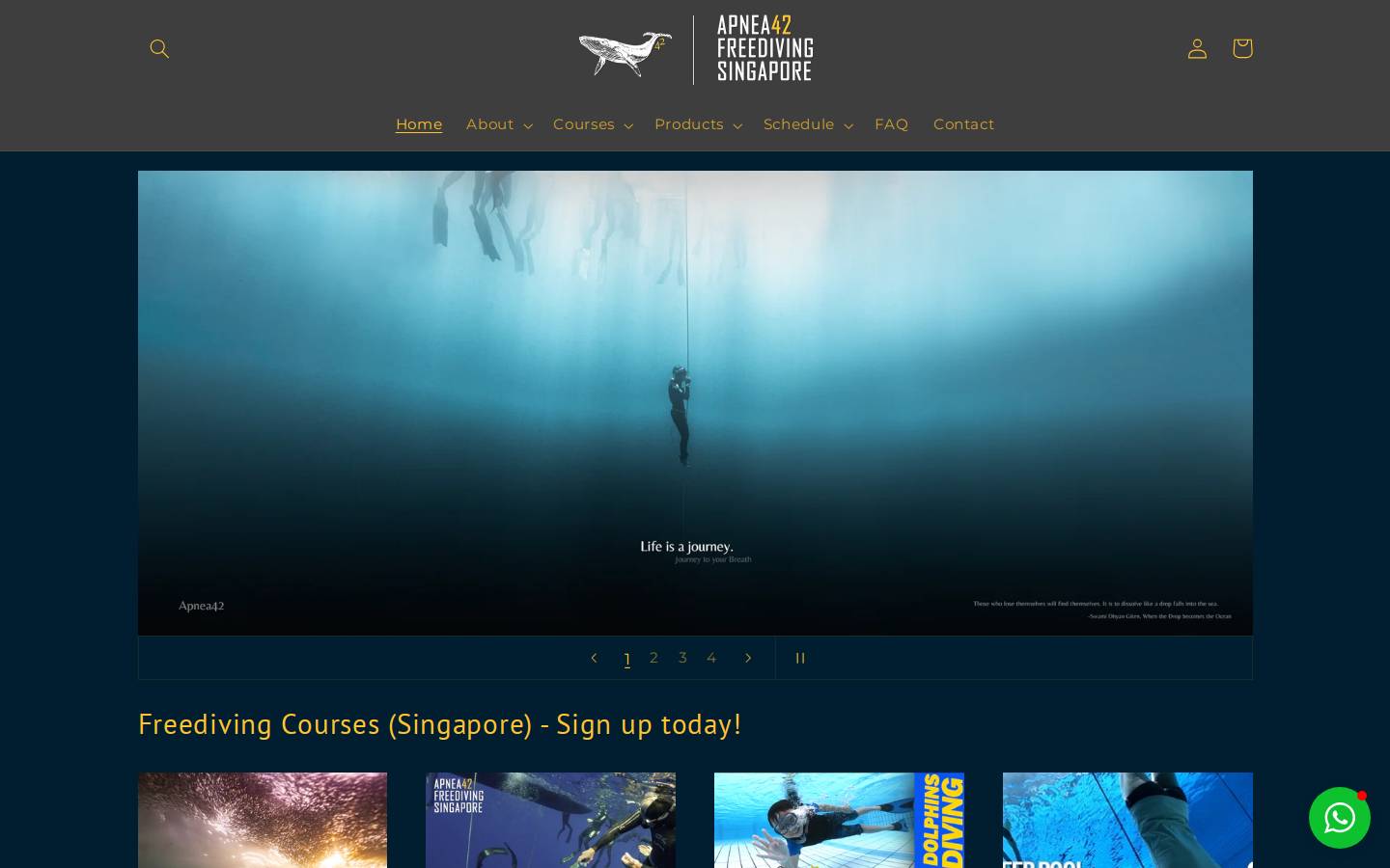 Apnea42 Freediving (Singapore) homepage screenshot