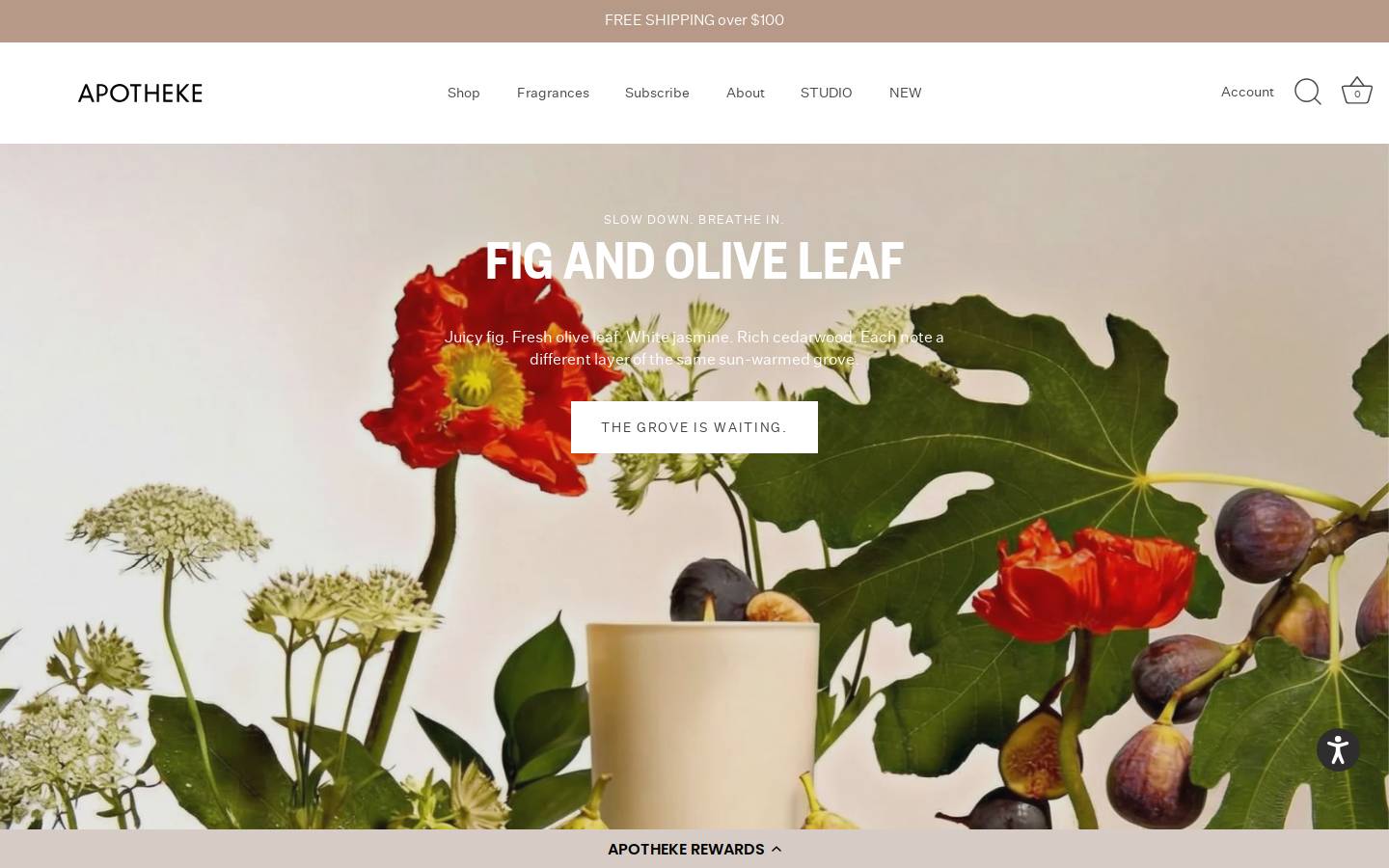 Apotheke homepage screenshot