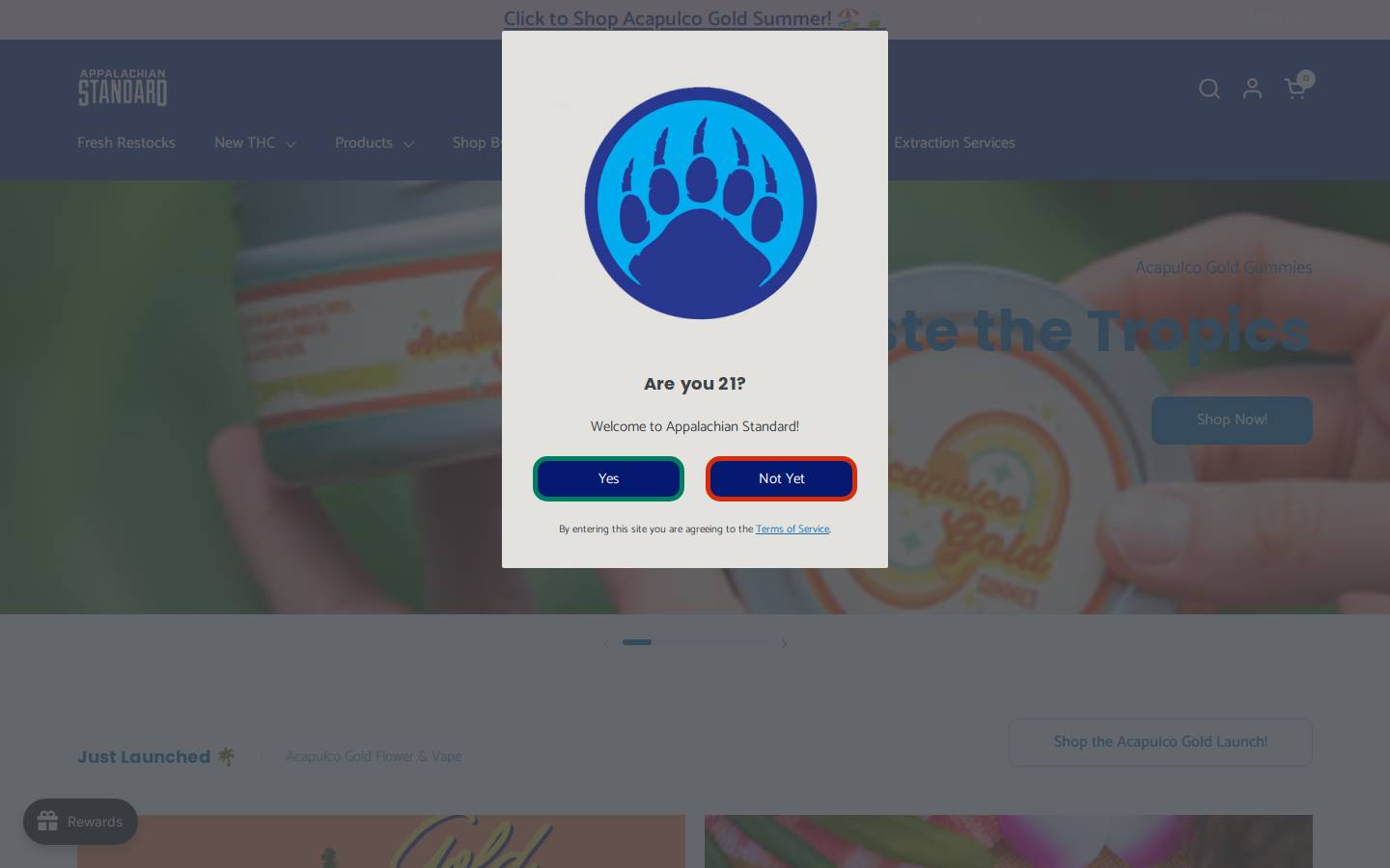 appalachianstandard.com homepage screenshot