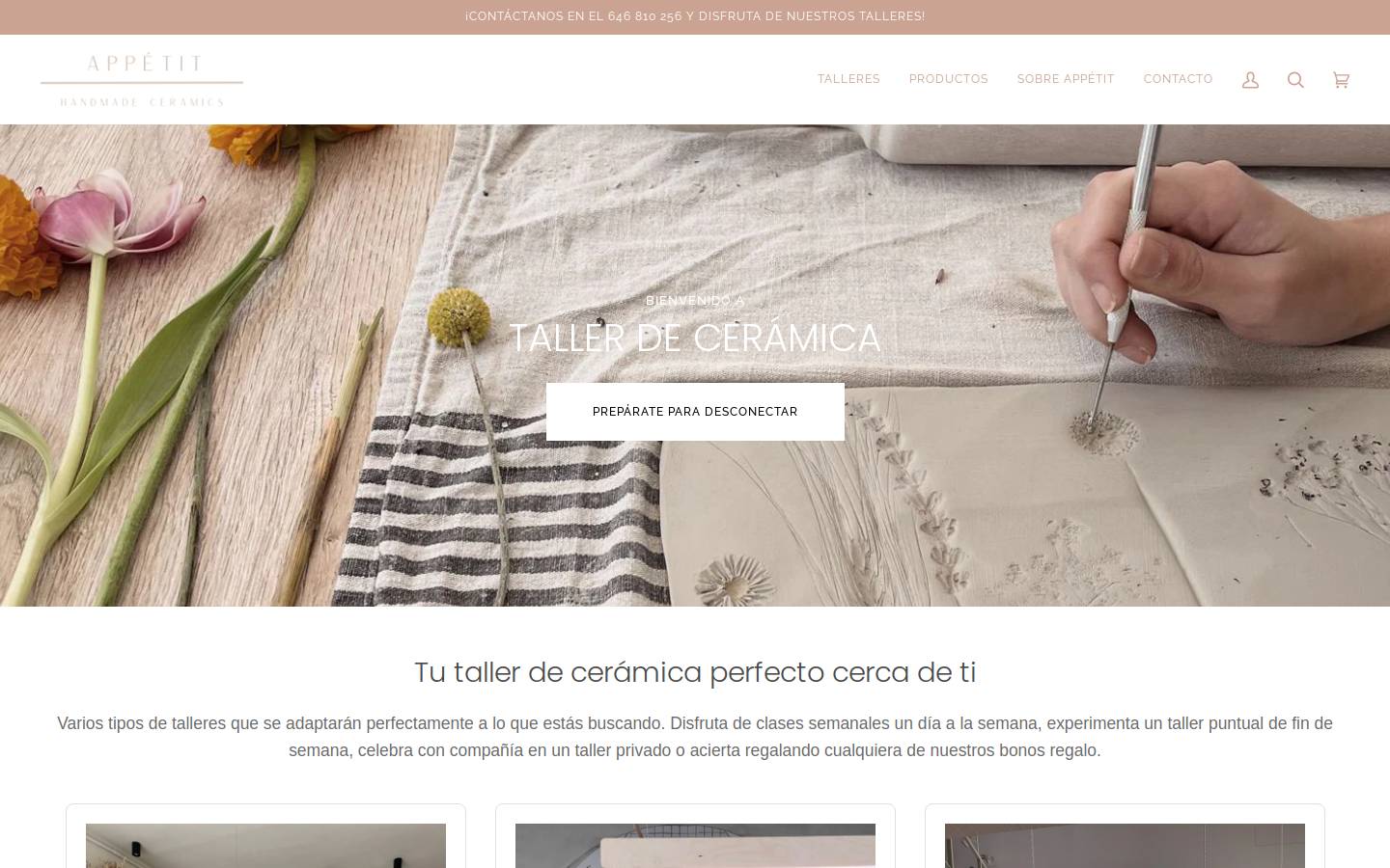 appetitceramics.com homepage screenshot