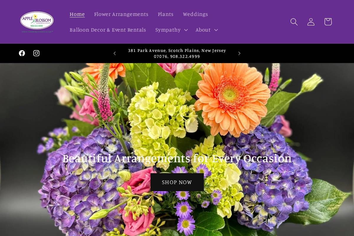 appleblossomflowershop.com homepage screenshot