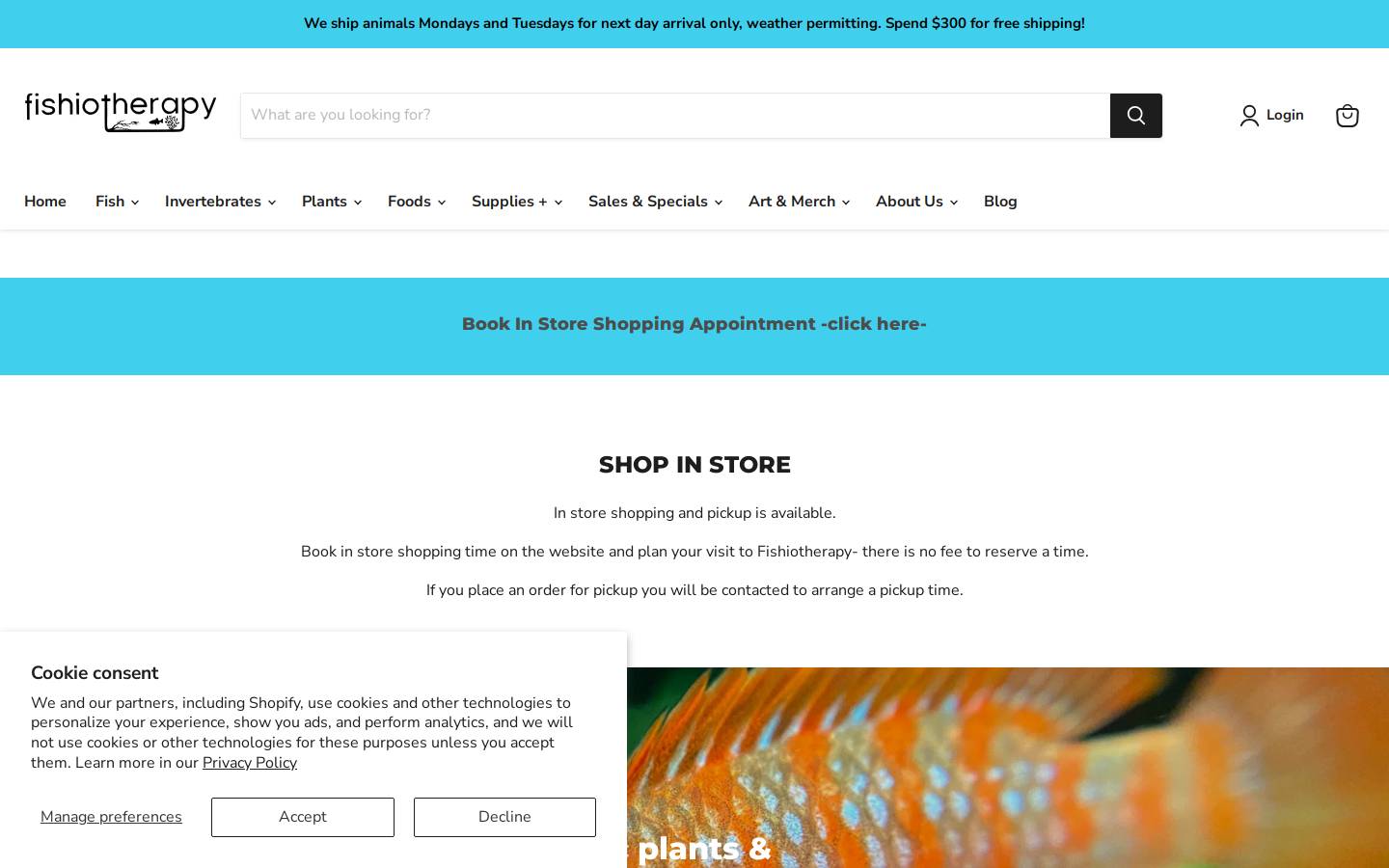 aquaaccents.ca homepage screenshot