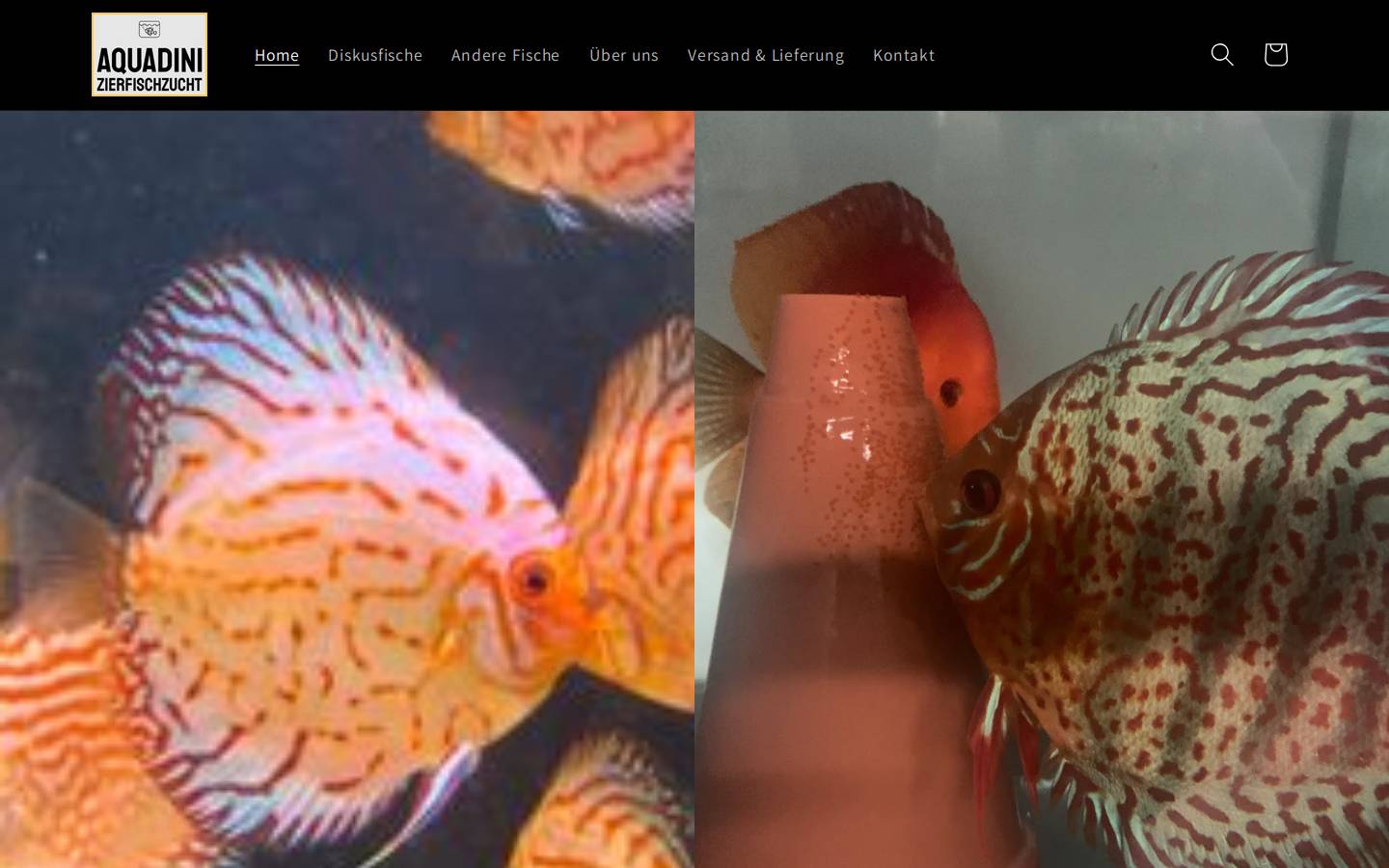 aquadini.de homepage screenshot
