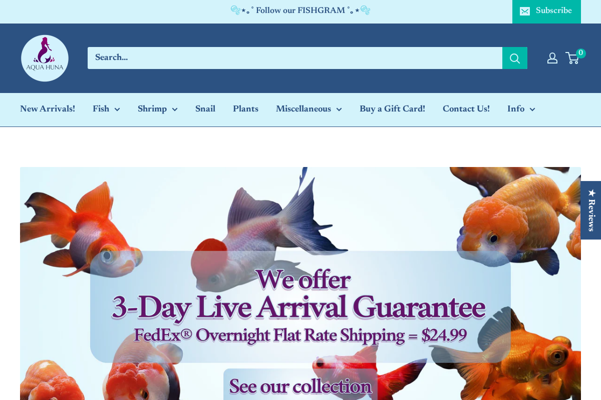 Aqua Huna homepage screenshot