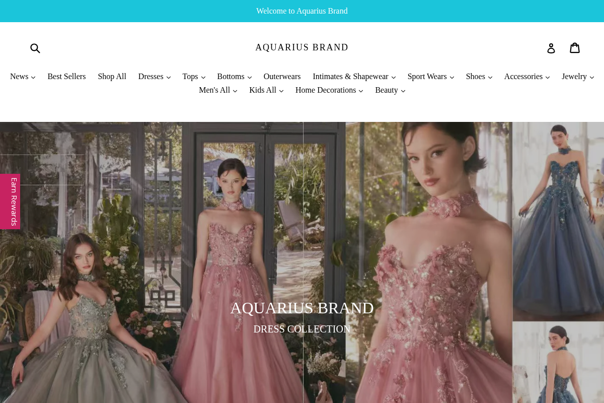 Aquarius Brand homepage screenshot