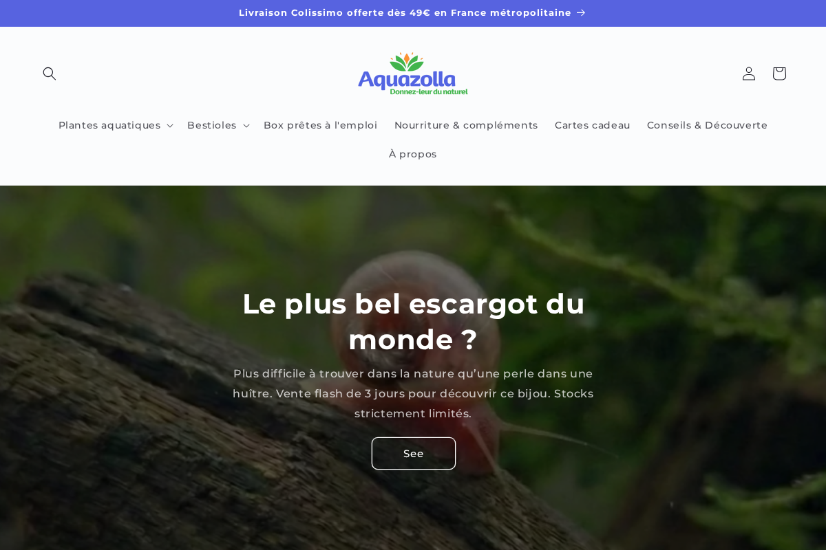 Aquazolla homepage screenshot