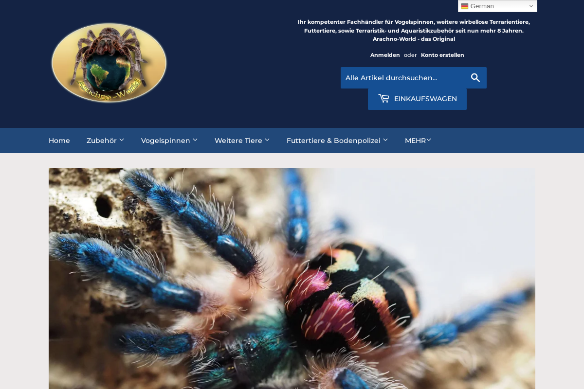 Arachno-World homepage screenshot