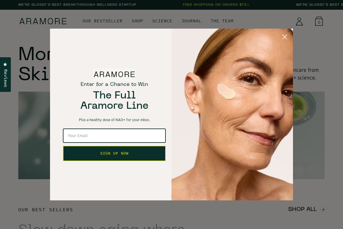 Aramore Skincare homepage screenshot