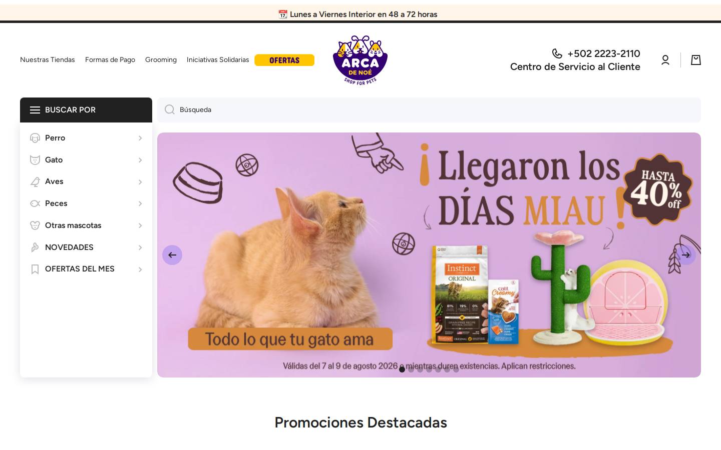 arcadenoe.com.gt homepage screenshot