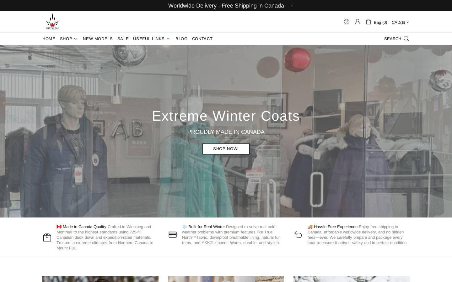 Arctic Bay homepage screenshot