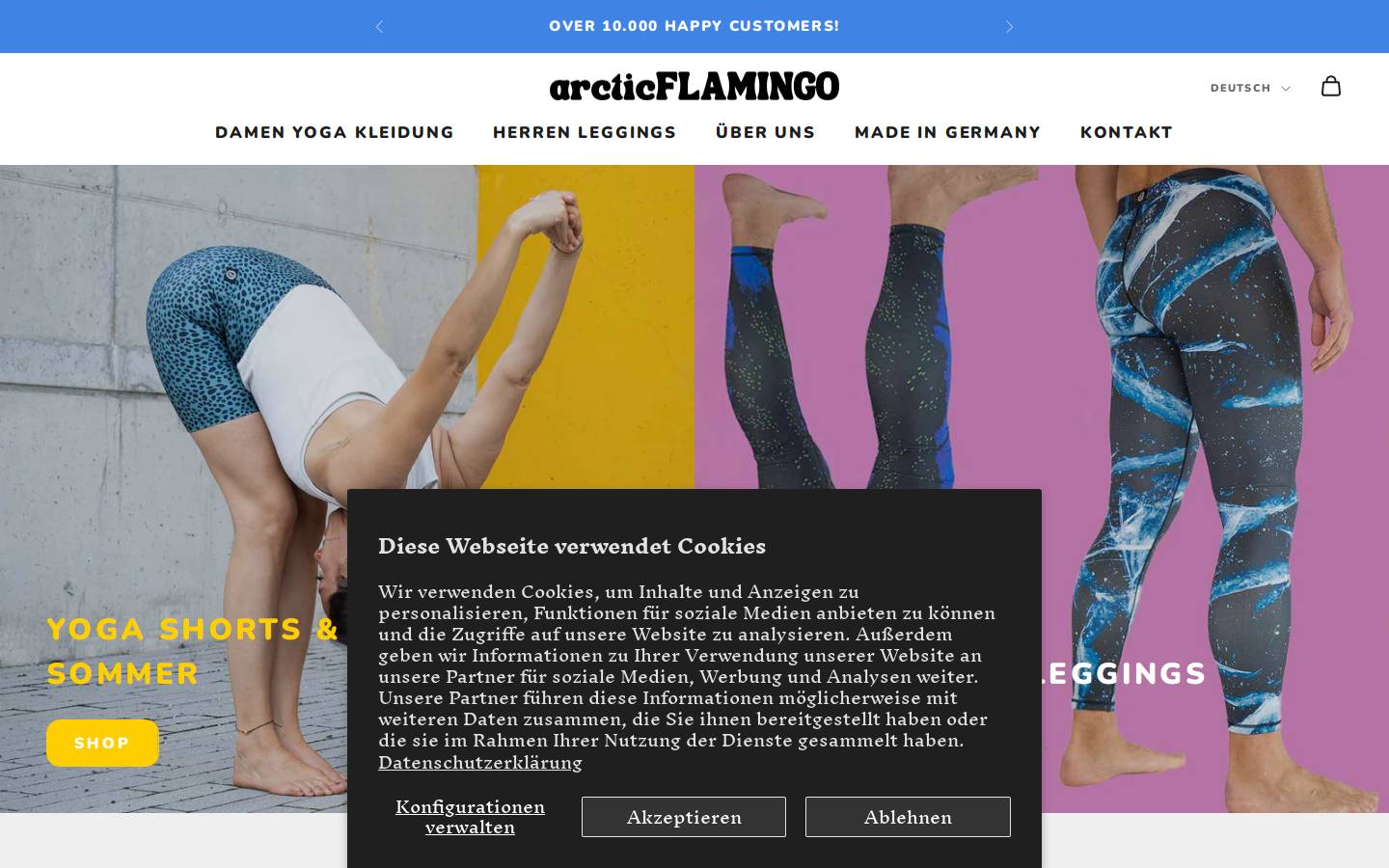 arctic-flamingo.com homepage screenshot