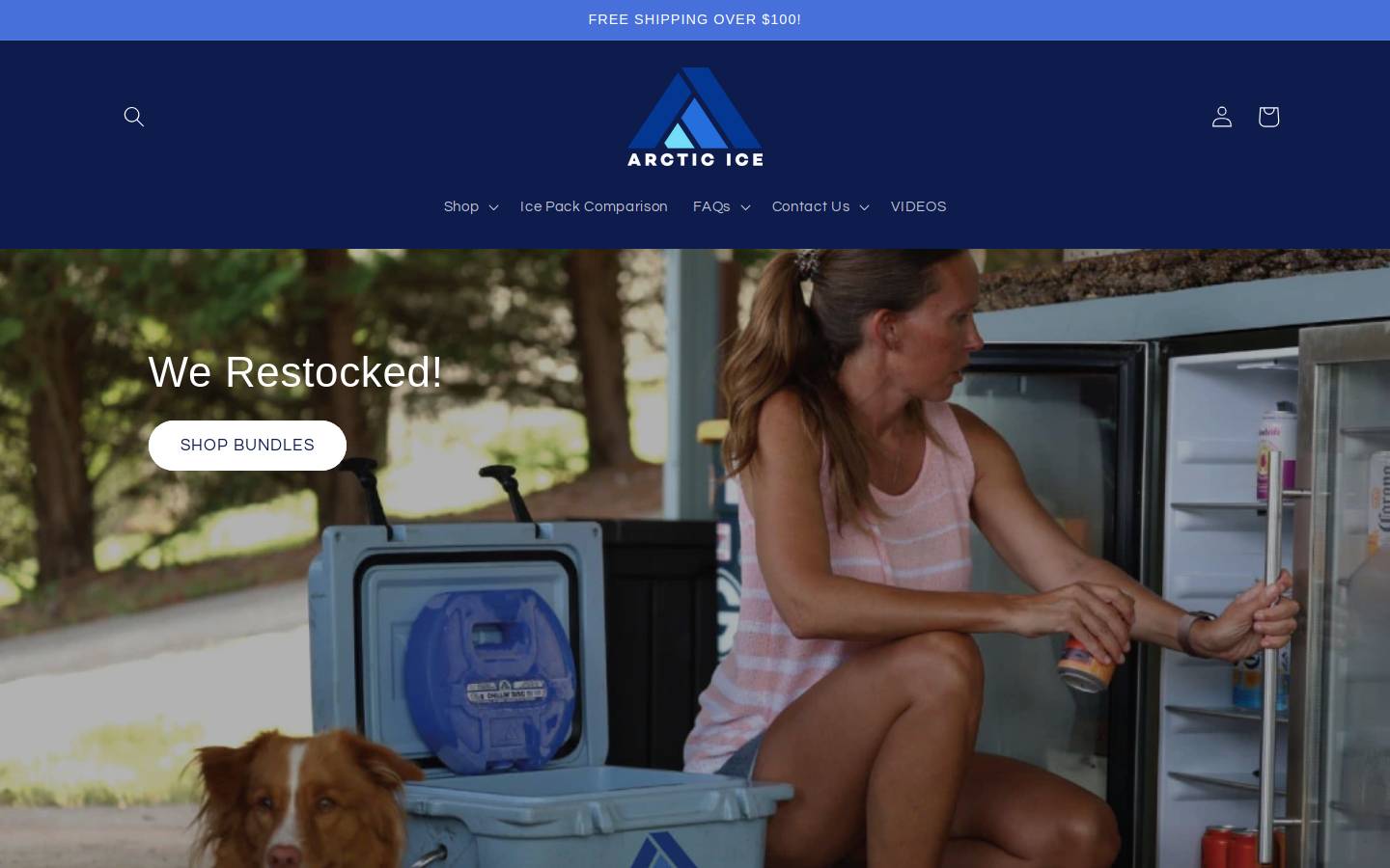 arctic-ice.com homepage screenshot
