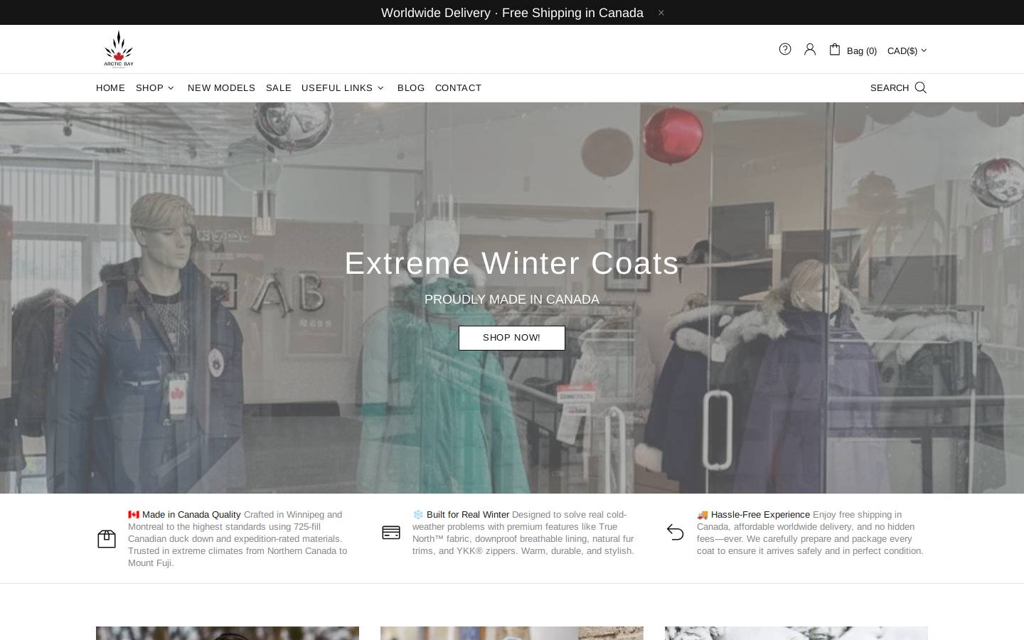 arcticbayco.com homepage screenshot