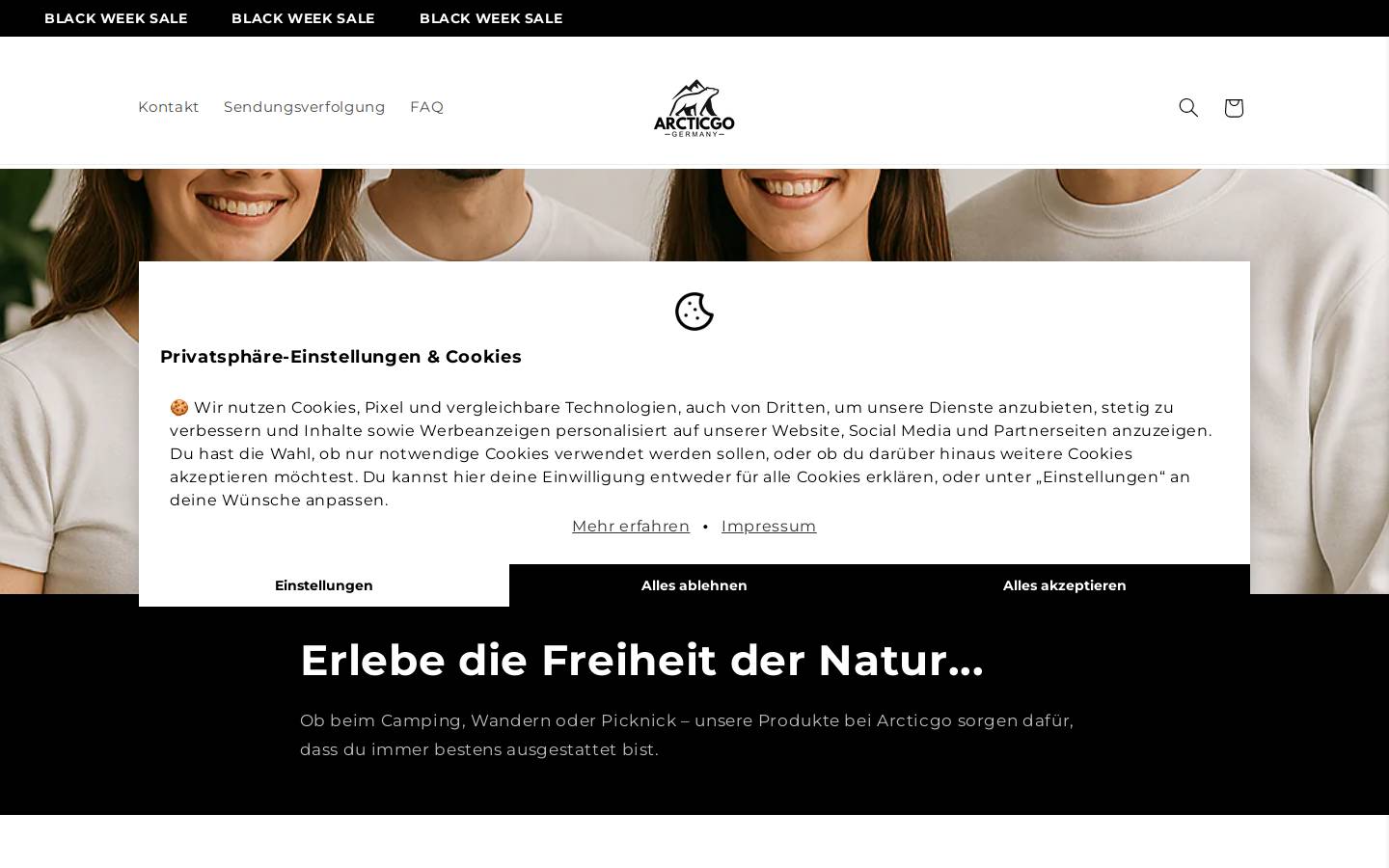 arcticgo.com homepage screenshot