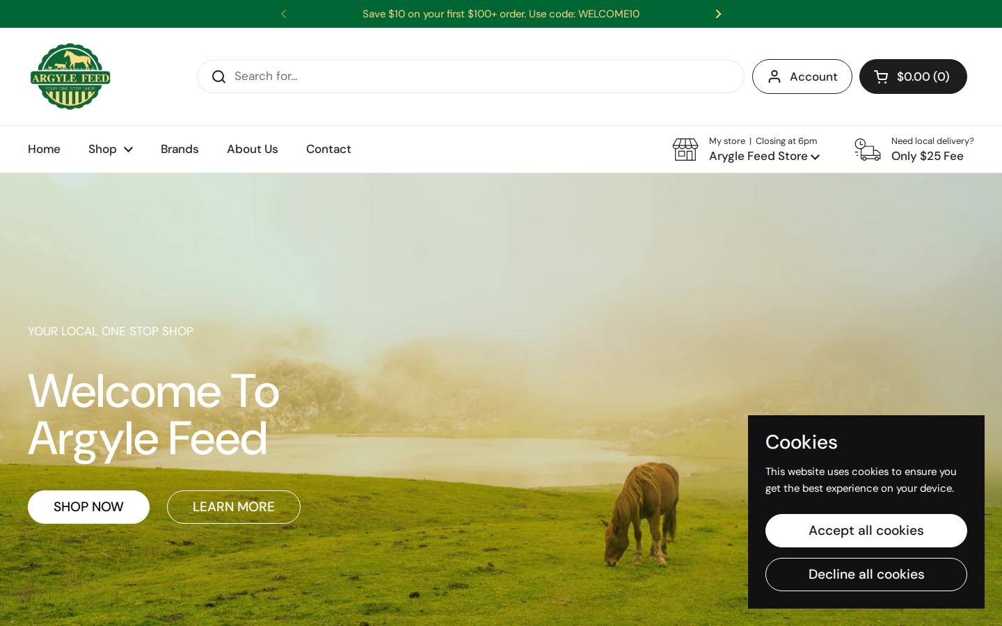 argylefeedstore.com homepage screenshot