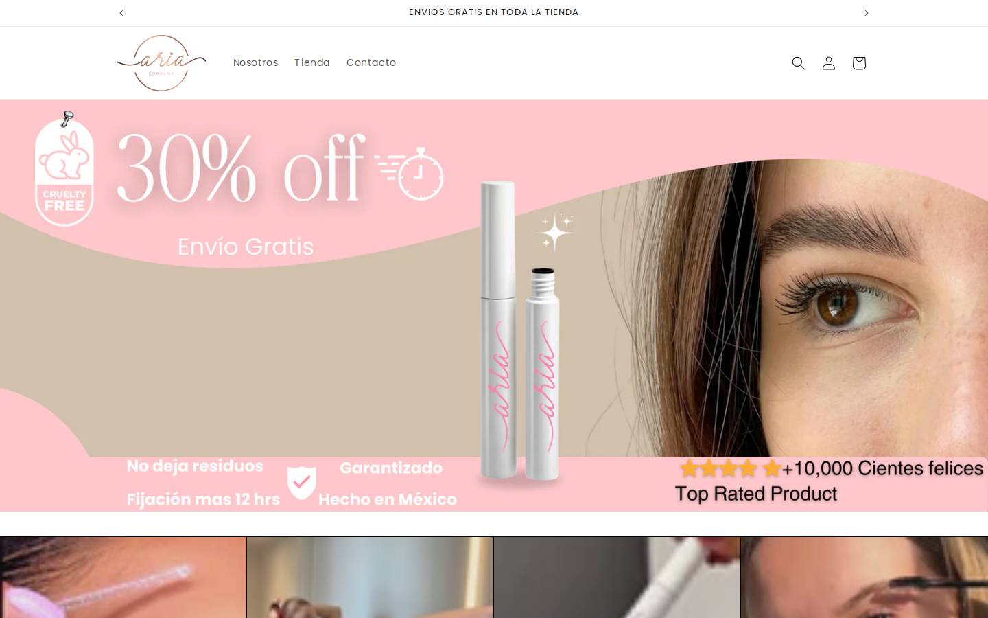 ariacompany.com.mx homepage screenshot