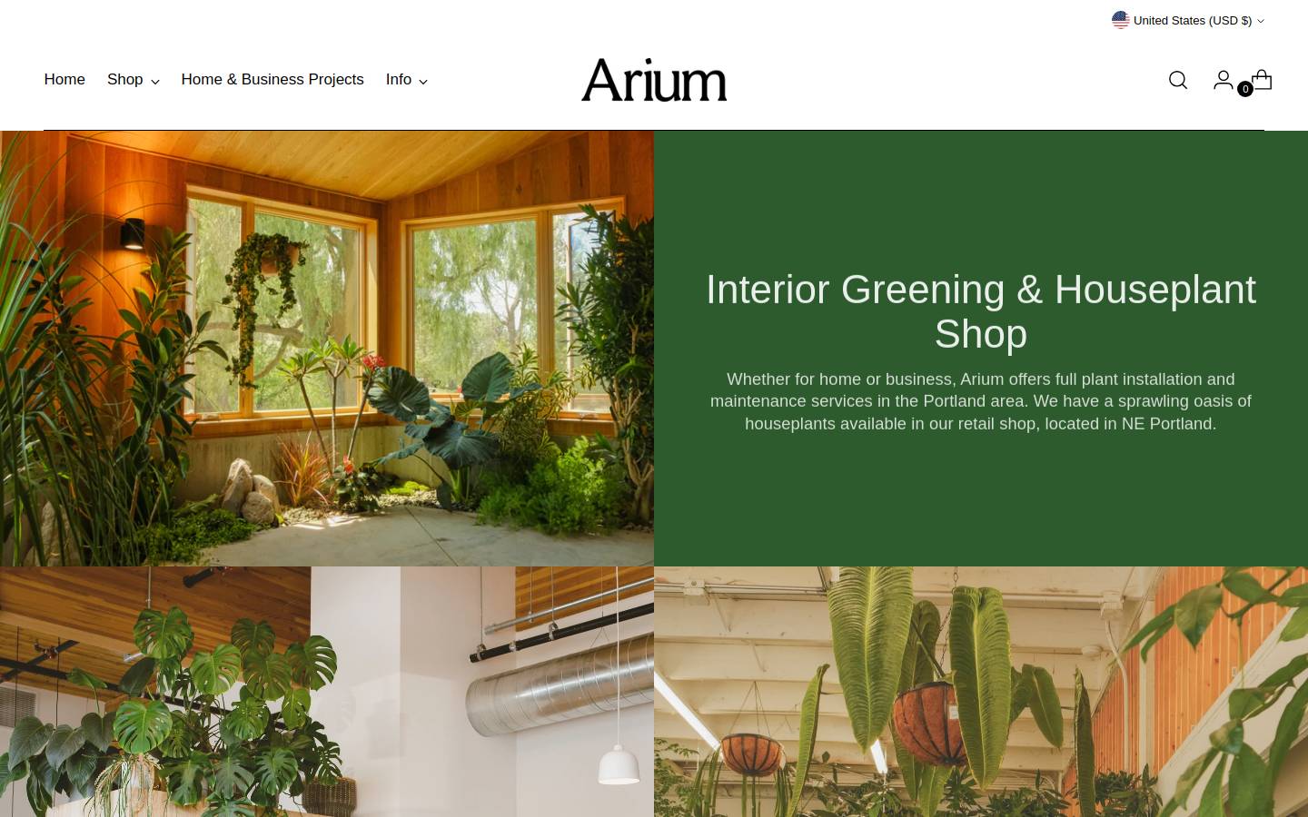 ariumbotanicals.com homepage screenshot